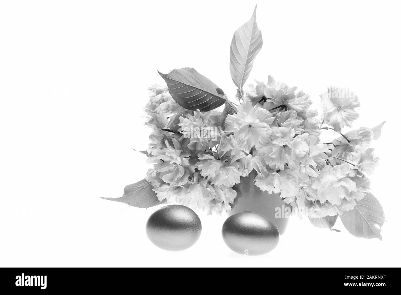 Japon et Pâques concept avec sakura rose clair et oeufs d'or isolés sur fond blanc, espace de copie. Idée du début du printemps Banque D'Images