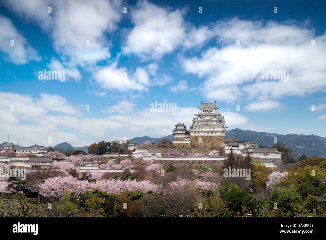 Pendant la saison des cerisiers en fleur fleurs printemps avec Himeji castle et beau ciel nuage à Himeji city, Hyogo près d'Osaka, au Japon. Le Japon Tourisme, histo Banque D'Images