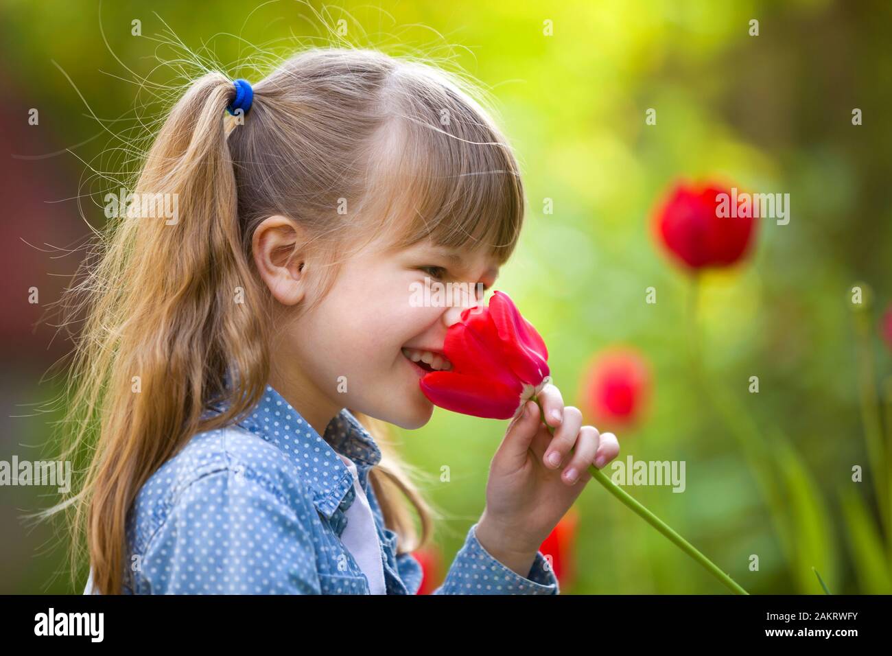Profil De Cute Pretty Smiling Enfant Fille Avec Les Yeux Gris Et Les Cheveux Longs Qui Sent La Fleur De Tulipe Rouge Vif Sur L Ete Ensoleille Flou Flou D Arriere Plan Vert Photo Stock