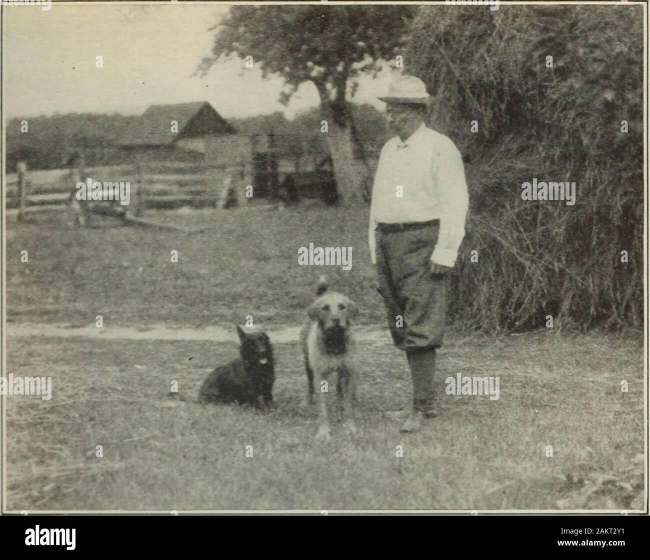Examen des évaluations et de travail du monde .  ? WH T T&gt ;&gt ; IX&gt ; avec jusqu'levrland). Le colonel ROOSEVELT 1ÈME SES CHIENS DANS LA BASSE-COUR À SAGAMORE HILL ROOSEVELT LE LABOUREUR PAR HENRY JAMES FORMAN JE Ml hen th&Lt ; cxi humeur plaisir si to( plus Hill comme dans toute une place notable dans l'Organisation des 5lthen j'hut à-jour, j'ai connu .  ? Ilawarden ou Kar hin thi plus Hill a l*etome l tion et I- i- nopubli hill, !r Roosevelts, poursuit même ici et maintenant inhis la retraite, et séjours en à son quillity-tran. De tous les hommes publics qui sont venus m'toBee une fois mon retour, le Colonel Rooseveltsaid à l'écrivain, Banque D'Images