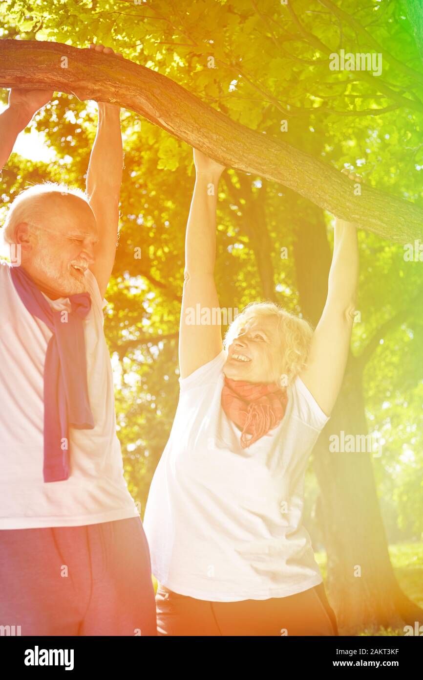 Couple actif aînés accroché sur l'arbre et d'avoir du plaisir dans la nature Banque D'Images