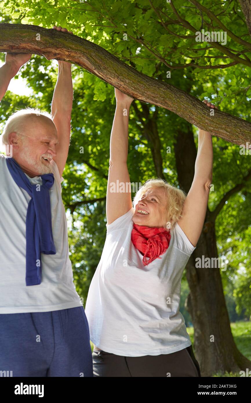 Deux personnes âgées faisant l'exercice de remise en forme sur l'arbre dans la nature Banque D'Images