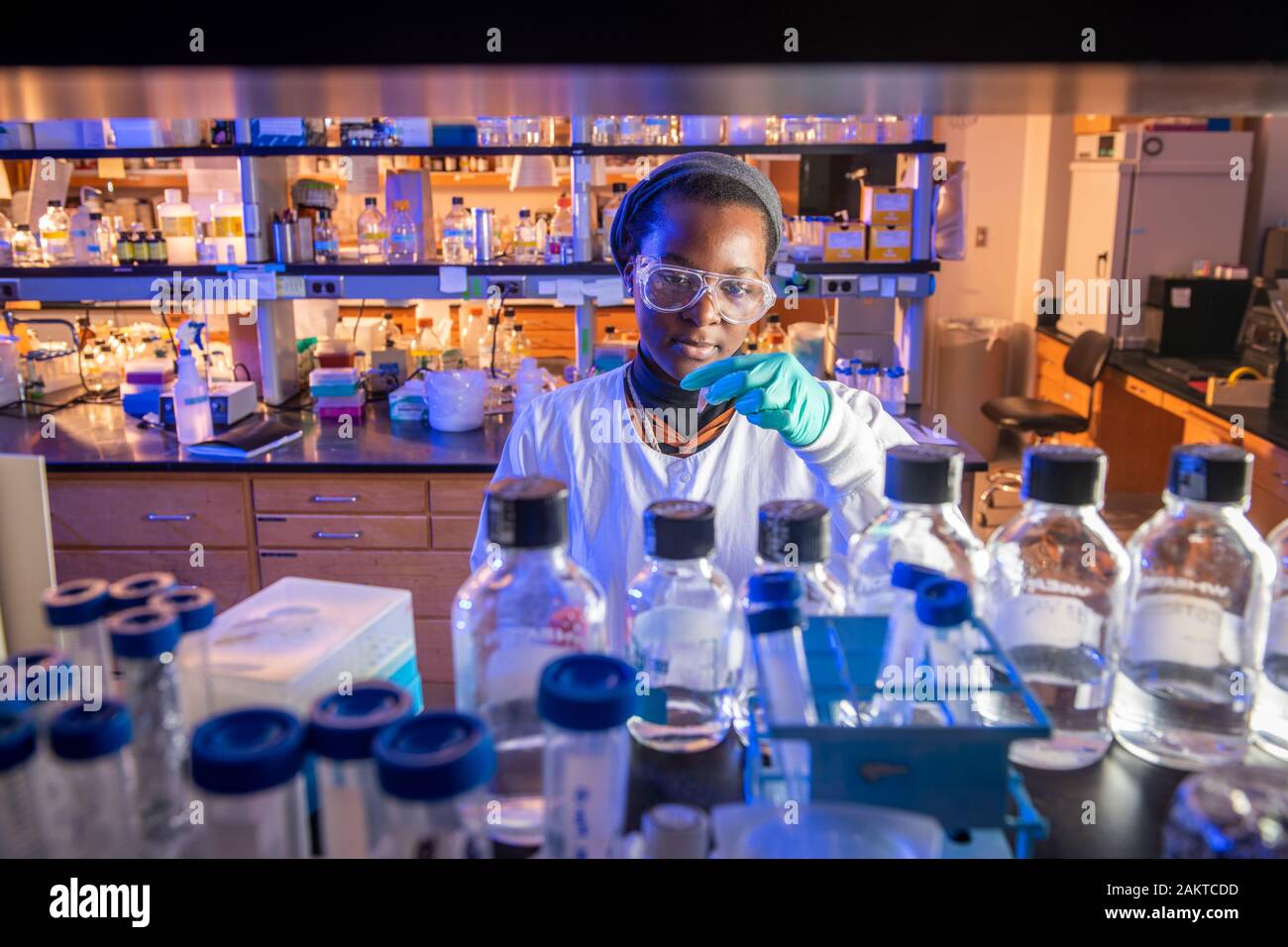 Grad students working in science Lab Banque D'Images