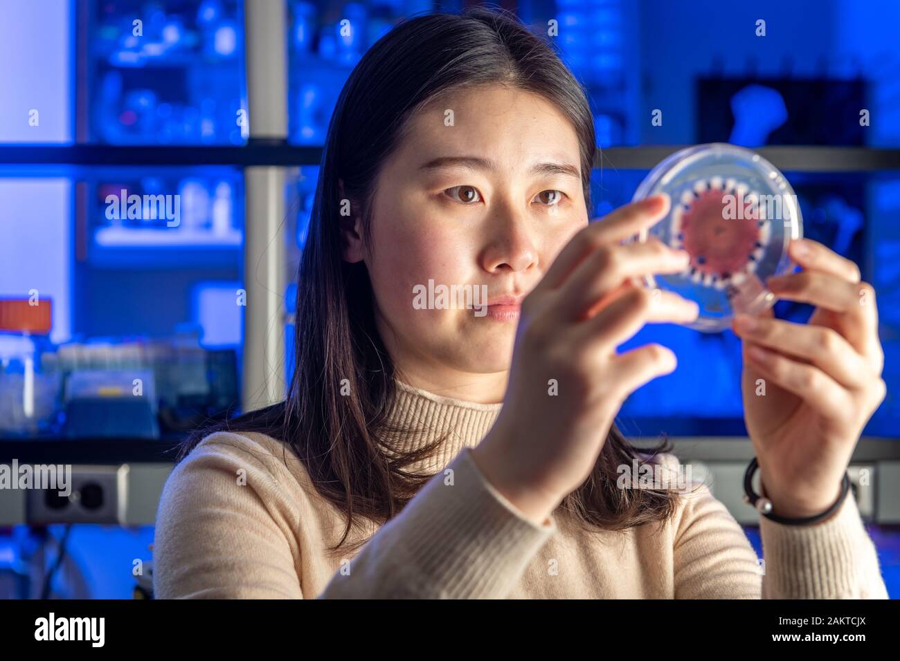 Grad students working in science Lab Banque D'Images