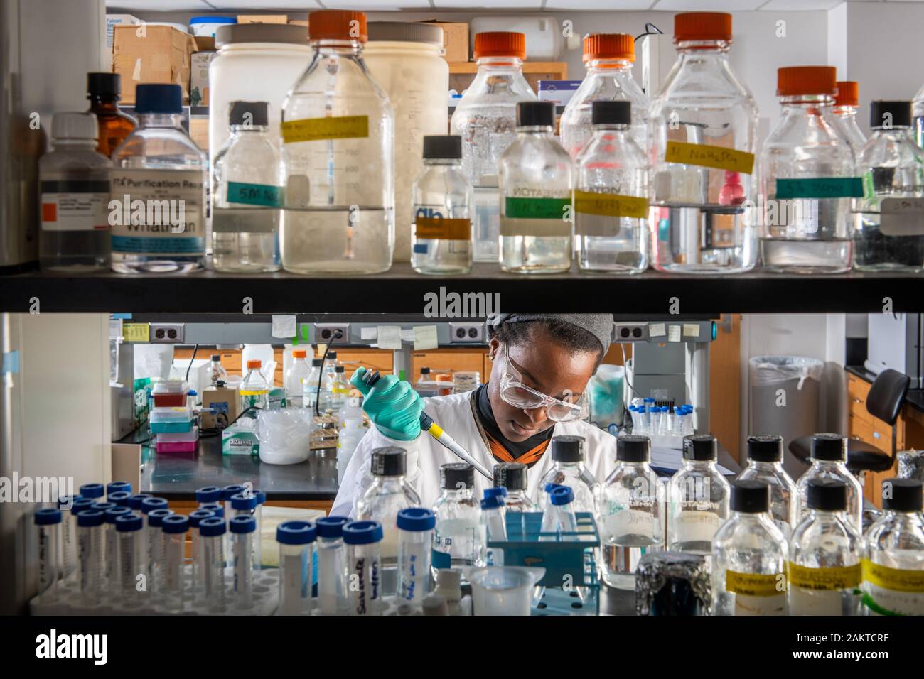 Grad students working in science Lab Banque D'Images