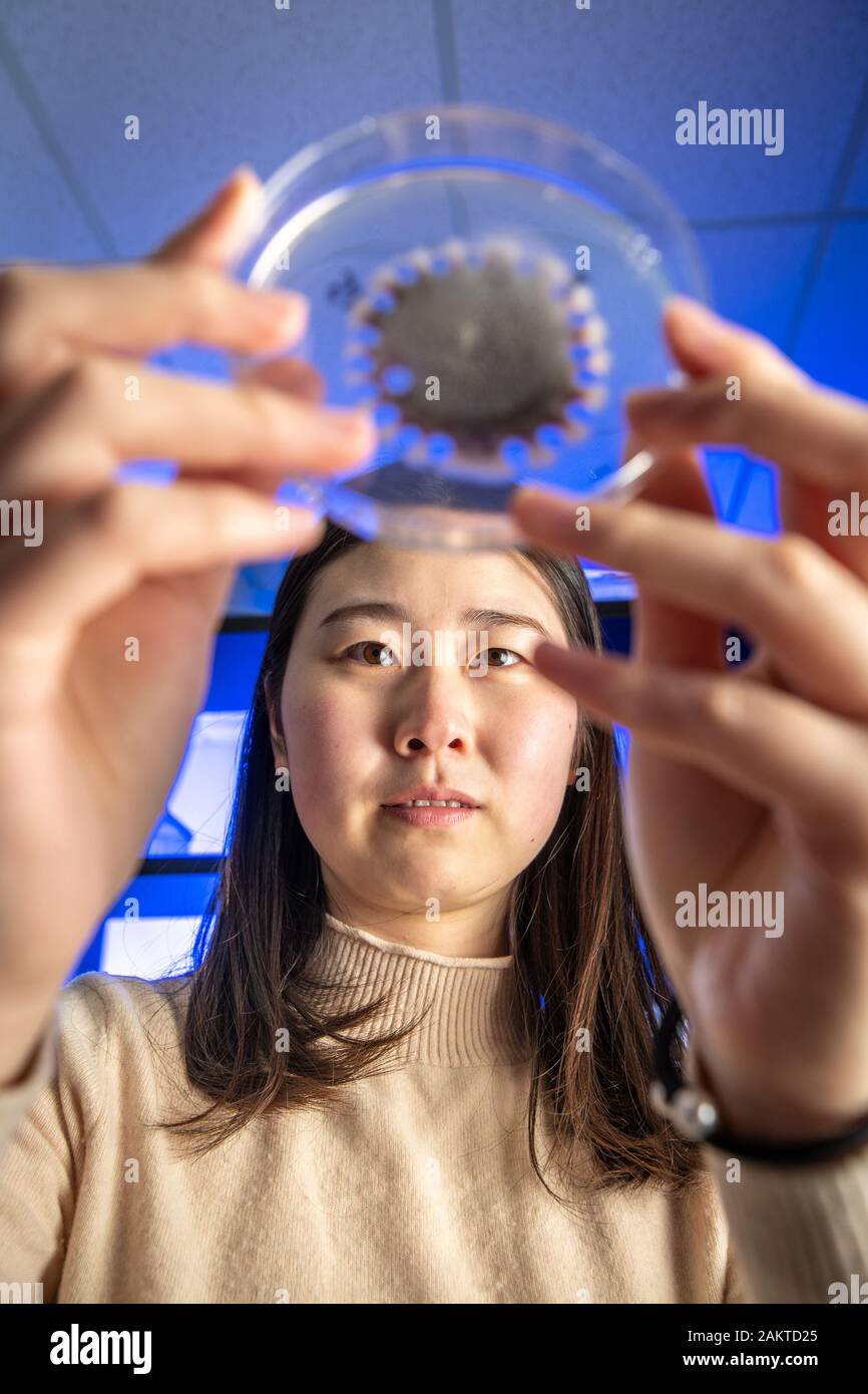 Grad students working in science Lab Banque D'Images