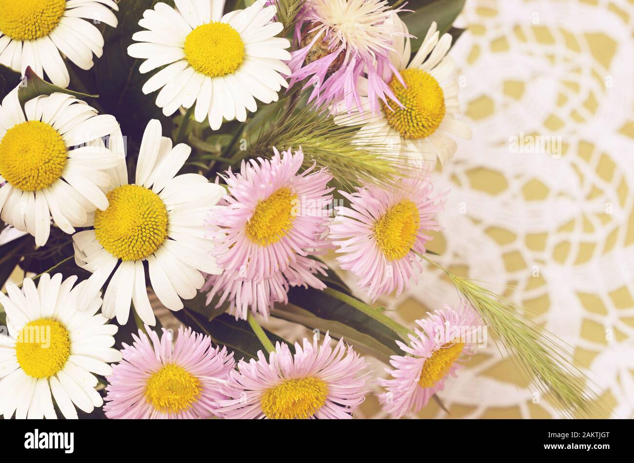 Bouquet de fleurs sauvages sur fond blanc crocheté Banque D'Images