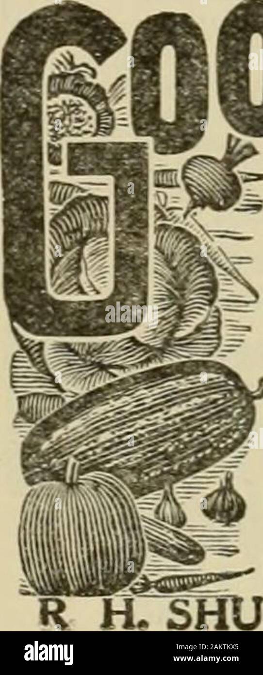 La culture de l'abeille . .4, Fredonla, N.I. Le sowerhas pas de seconde chance.Un bon début est la seule règle d'État ; mettre en yourfaith les meilleures semences vous canbuy. Ferrys ont eu l'highestreputation depuis plus de 50 ans. En vente partout. 1913 Iree Catalogue sur demande.D. M. FERRY & Co., Detroit, Michigan SEEDS GRAINES 09D ^^^ BEST IM LE MONDE Prix ci-dessous tous les autres je vais vous donner beaucoup de nouvelles |S&gt ; sortes gratuitement avec chaque commande JE £11. Acheter et tester. Si retour inot 0. K.-argent remboursé. Grand Catalogue FREEOver 700 illustrations de vege-tables et de fleurs. Envoyez les vôtres et vos voisins les adresses. H. SMUM Banque D'Images