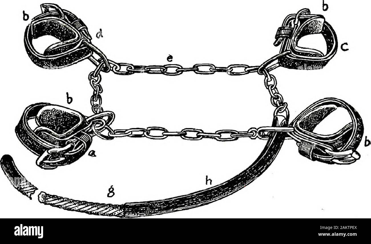 Modération d'animaux domestiques ; un livre à l'usage des étudiants et des praticiens ; 312 dessins et illustrations à partir de pen 26 demi-tons à partir de photographies originales . Fig. 95. Conkeys lobbles l-boucle autobloquante. lock buckle, et la chaîne peut être utilisé avec beaucoup de dessins d'hobblestraps. Ce qui suit illustre clopinent sangles peuvent être utilisées avec le Oonkey inconjunction boucle de verrouillage : les chiffres 84, 85, 86,SY, 88, 89, 90, 91, 92, 93, 94 ; aussi l'entraver les sangles des theEnglish et nuit à Berlin.. Fig. 96. Nuit à Berlin. 88 EESTEAINT UN DOMESTIQUE OP-NIMAUX. Nuit à Berlin. La nuit à Berlin, Figure 96, consis Banque D'Images Modération d'animaux domestiques ; un livre à l'usage des étudiants et des praticiens ; 312 dessins et illustrations à partir de pen 26 demi-tons à partir de photographies originales . Fig. 95. Conkeys lobbles l-boucle autobloquante. lock buckle, et la chaîne peut être utilisé avec beaucoup de dessins d'hobblestraps. Ce qui suit illustre clopinent sangles peuvent être utilisées avec le Oonkey inconjunction boucle de verrouillage : les chiffres 84, 85, 86,SY, 88, 89, 90, 91, 92, 93, 94 ; aussi l'entraver les sangles des theEnglish et nuit à Berlin.. Fig. 96. Nuit à Berlin. 88 EESTEAINT UN DOMESTIQUE OP-NIMAUX. Nuit à Berlin. La nuit à Berlin, Figure 96, consis Banque D'Images