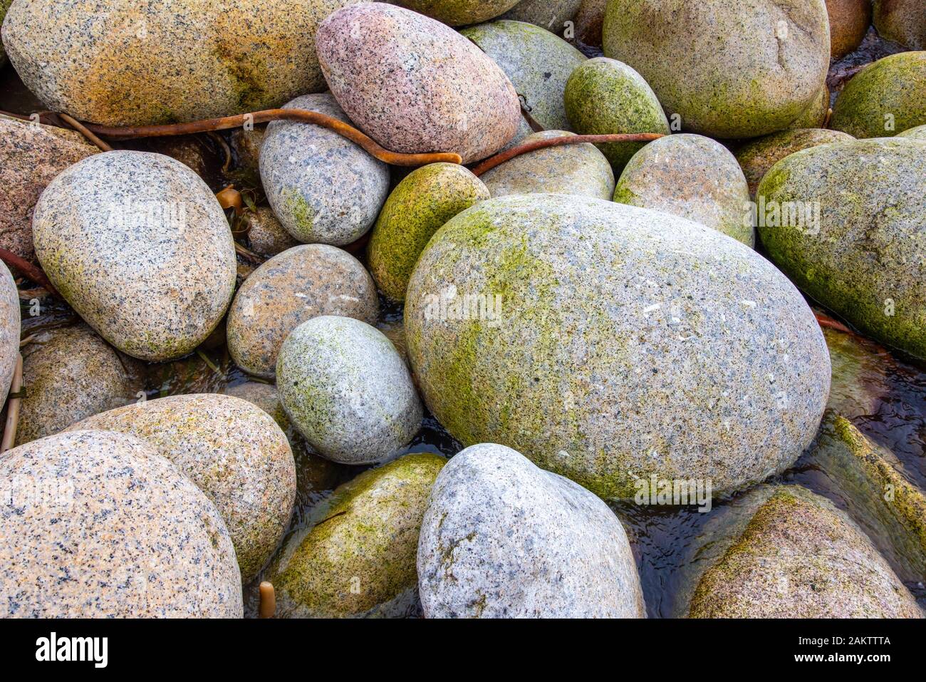 En Grande Bretagne British Cornwall Angleterre Anglais Grand Uk Royaume Uni Berceau Lit Bebe La Vallee De Porth Nanven Vallee Porth Nanven Plage Dinosaure Oeuf E Photo Stock Alamy