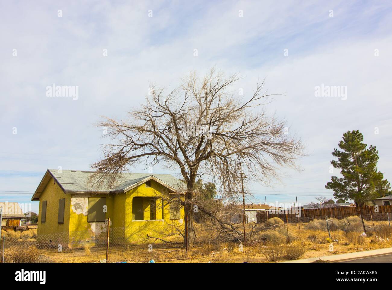 Maison Abandonnée Avec Les Fenêtres Intégrées Et L'Arbre Mort Banque D'Images