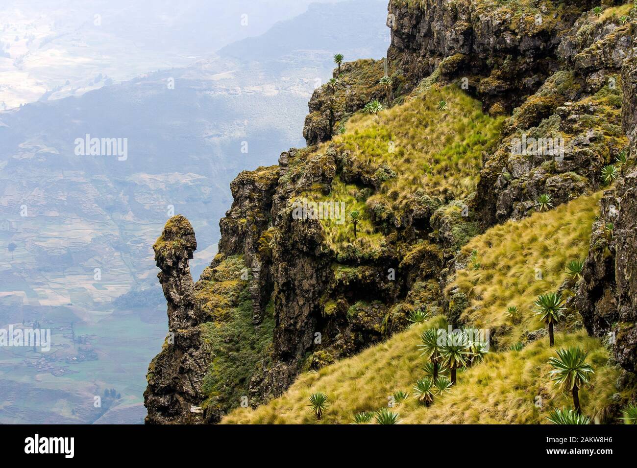 Vue imprenable sur le parc national des montagnes du Simien, l'Éthiopie. Banque D'Images