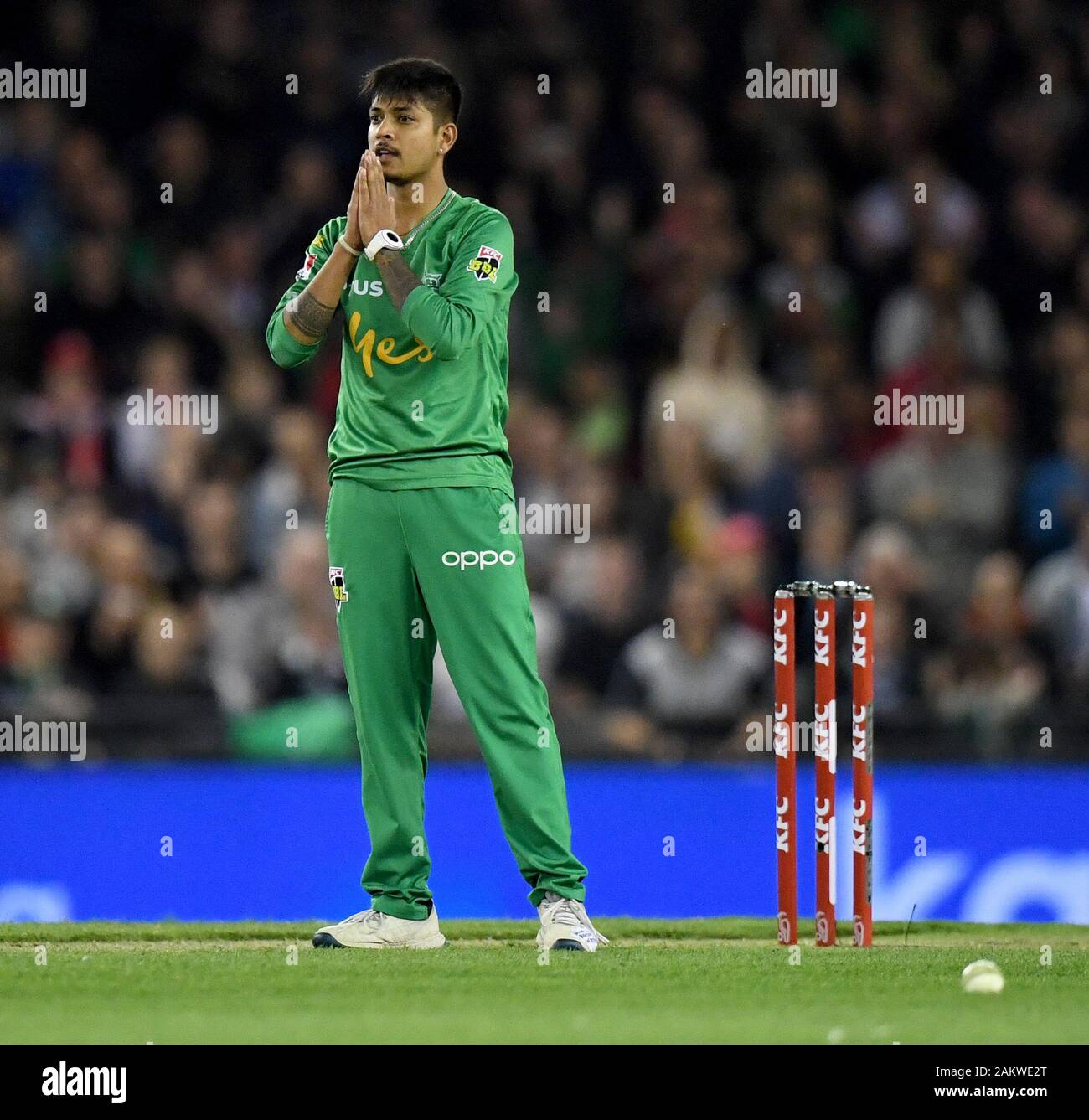 Marvel Stadium, Melbourne, Victoria, Australie. 10 janvier, 2020. Big Bash League Cricket, Melbourne Melbourne Renegades versus étoiles ; Sandeep Lamichhane des étoiles célèbre un guichet - usage éditorial : Action Crédit Plus Sport/Alamy Live News Banque D'Images