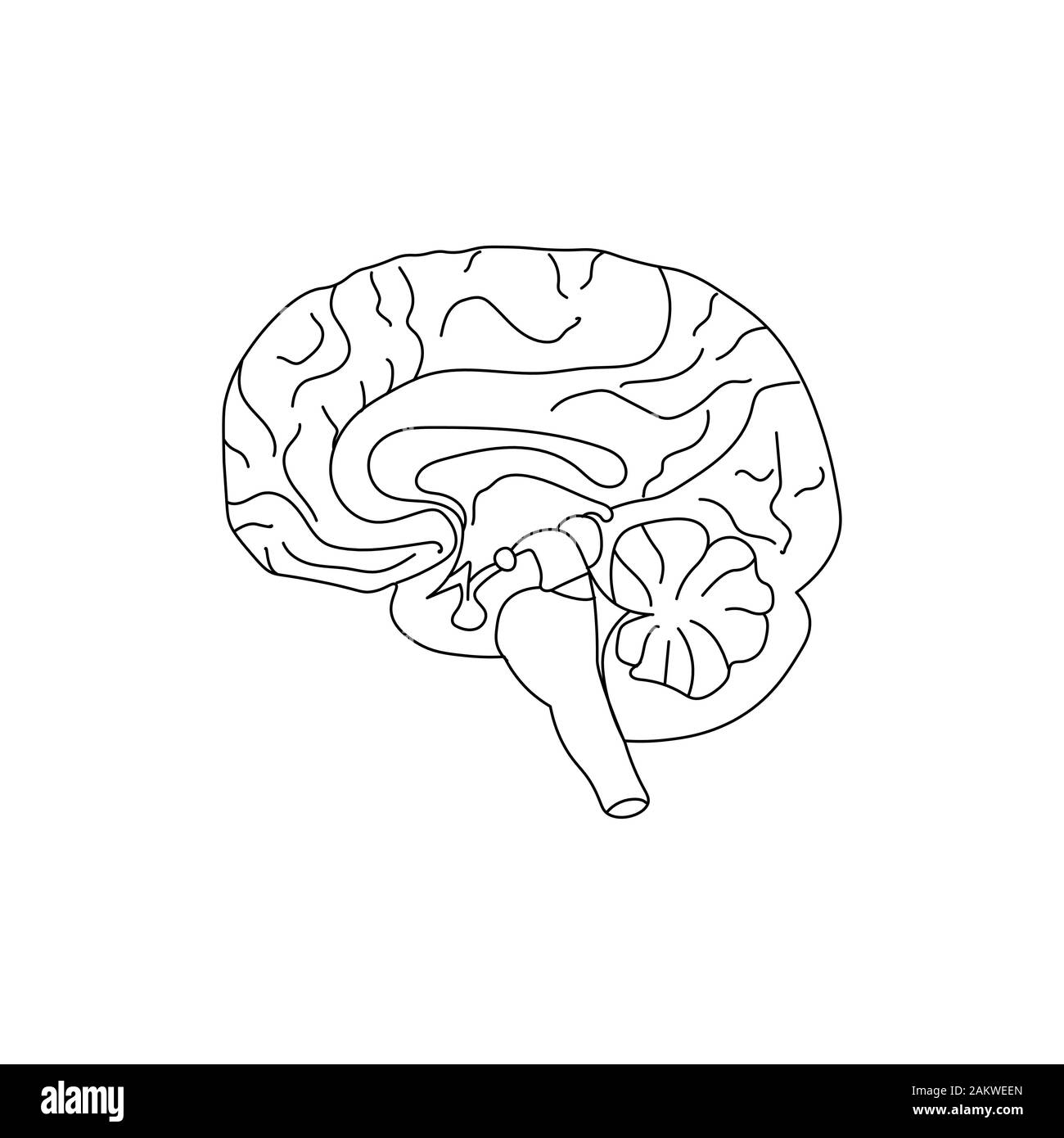 Journée mondiale de la santé mentale, l'arrière-plan. Cerveau. Art en ligne doodle croquis. Contour noir sur fond blanc. Photo peut être utilisé dans les cartes de vœux, affiches, flyers, bannières, logos etc. Vector illustration. EPS10 Illustration de Vecteur