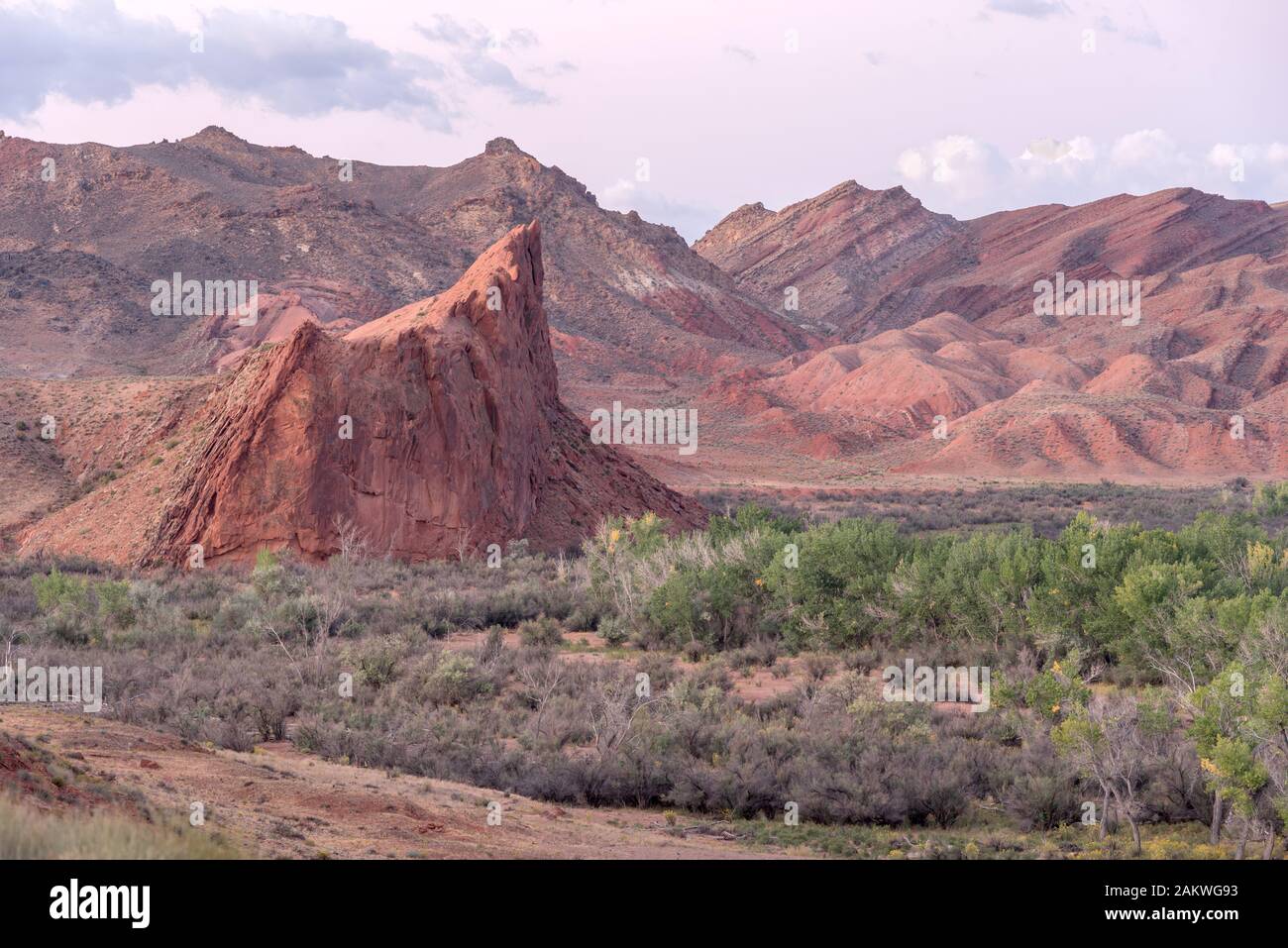 Chinle Wash inférieur, Navajo Nation (Utah). Banque D'Images