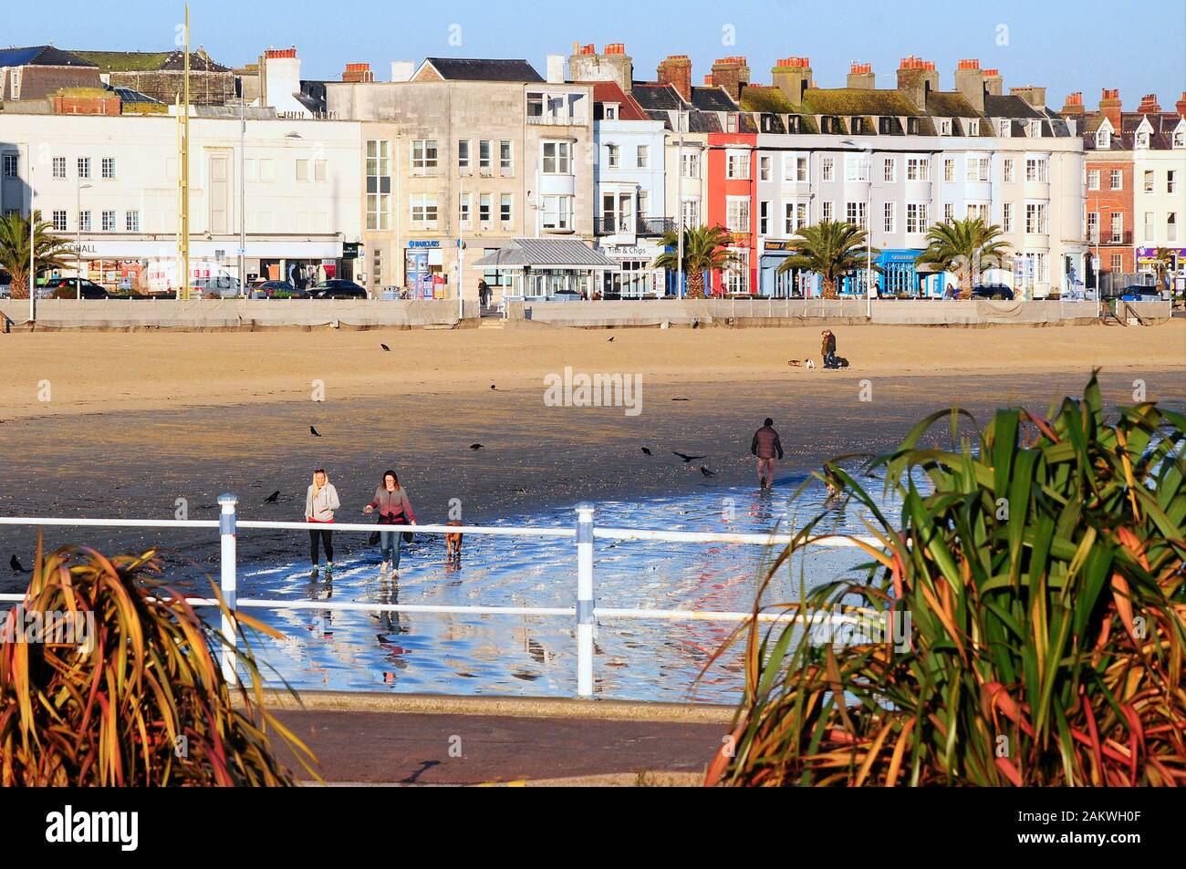 Weymouth. 10 janvier 2020. Météo britannique. Les gens à sortir tôt pour profiter d'un jour sec à Weymouth. crédit : Stuart fretwell/Alamy Live News Banque D'Images