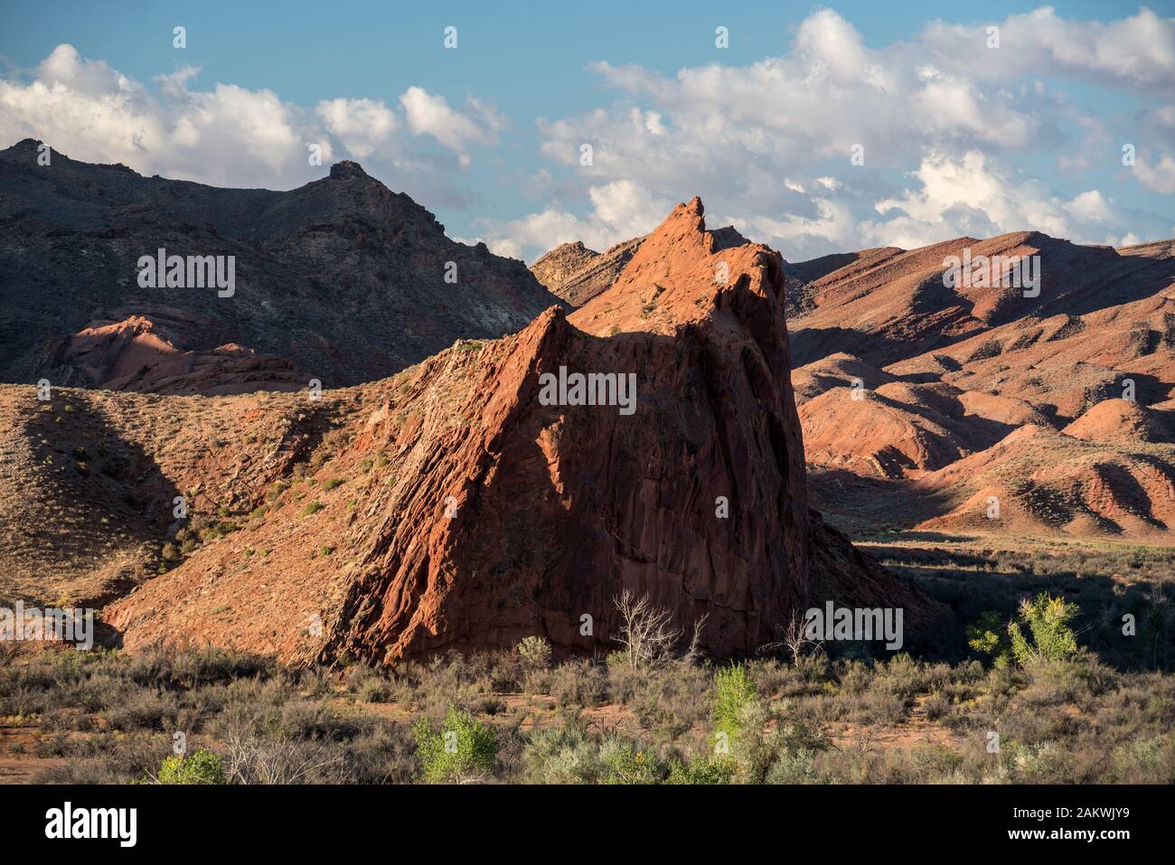 Chinle Wash inférieur, Navajo Nation (Utah). Banque D'Images