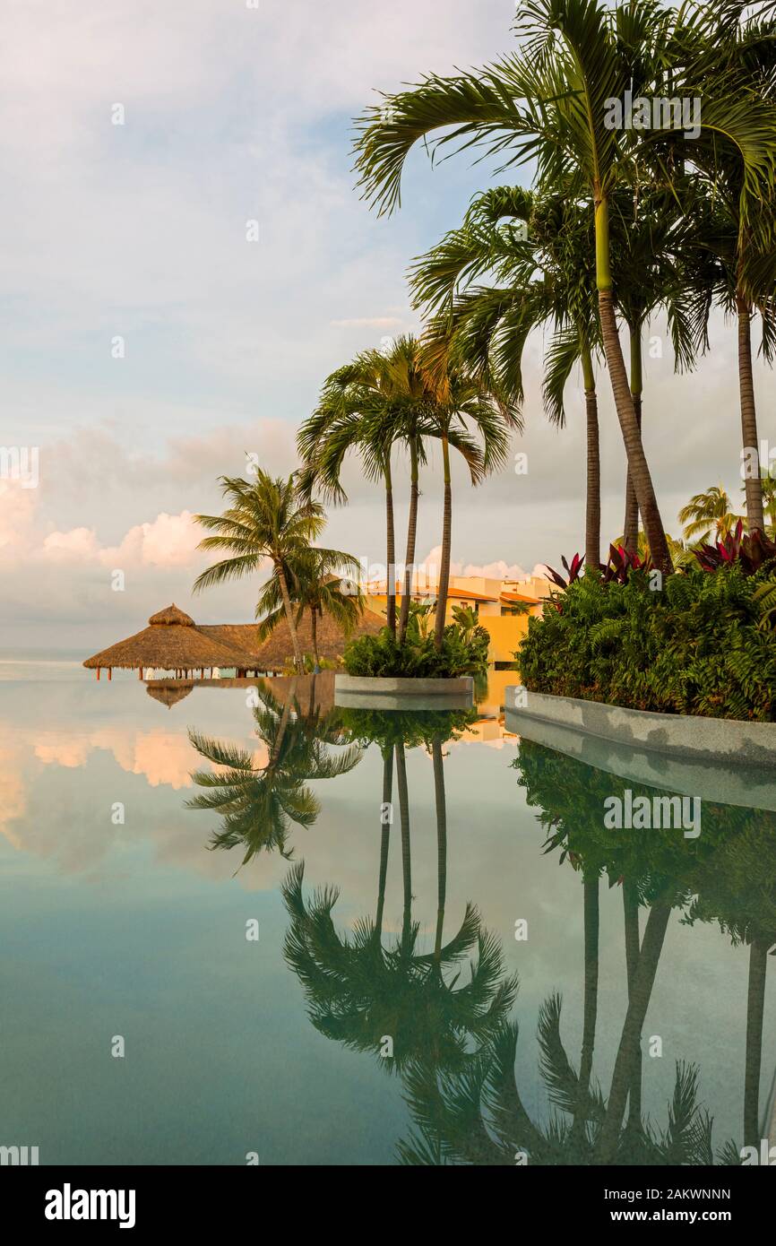 Le Mexique, Nuevo Vallarta, Nayarit, palmiers et les bâtiments reflètent dans une piscine à Marival Resort Armony Banque D'Images