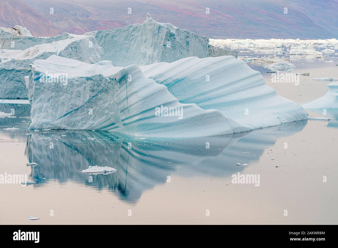 Icebergs à l'île de Rode dans le détroit de Scoresby Banque D'Images