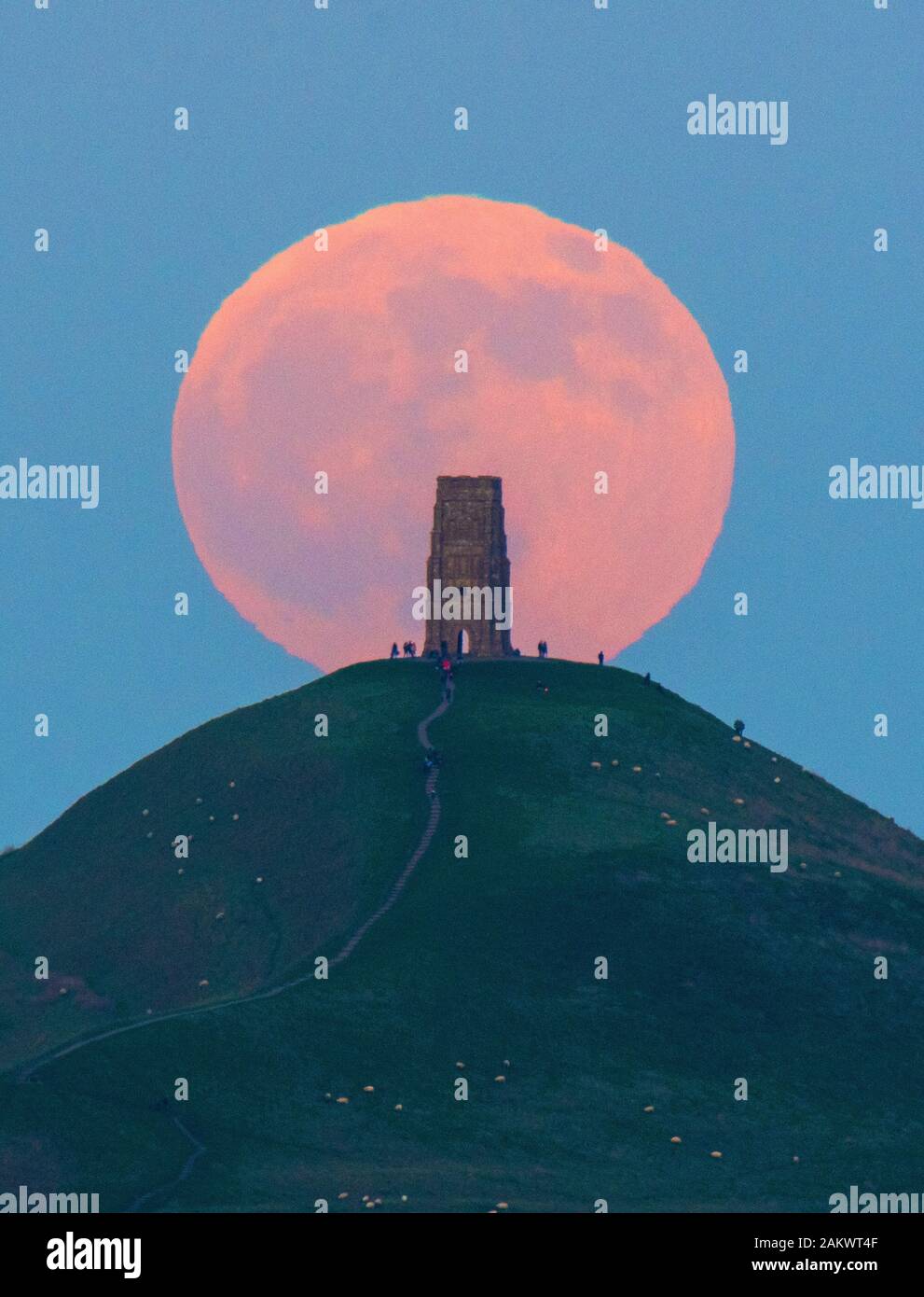 Glastonbury, Somerset, Royaume-Uni. 10 janvier 2020. Météo britannique. Le loup pleine lune se lève derrière Tor de Glastonbury dans le Somerset sur une bonne soirée d'hiver où les visiteurs se sont réunis pour regarder le lever de la lune au coucher du soleil. Crédit photo : Graham Hunt/Alamy Live News Banque D'Images