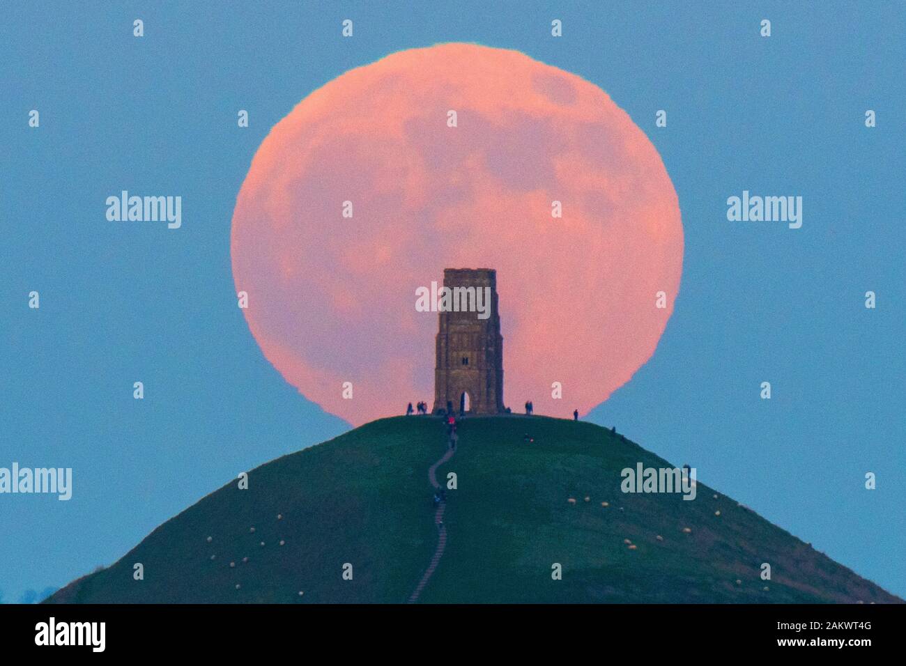 Glastonbury, Somerset, Royaume-Uni. 10 janvier 2020. Météo britannique. Le loup pleine lune se lève derrière Tor de Glastonbury dans le Somerset sur une bonne soirée d'hiver où les visiteurs se sont réunis pour regarder le lever de la lune au coucher du soleil. Crédit photo : Graham Hunt/Alamy Live News Banque D'Images