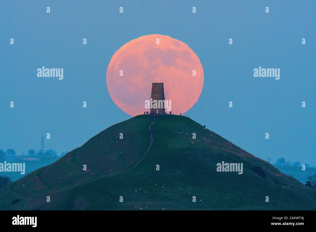 Glastonbury, Somerset, Royaume-Uni. 10 janvier 2020. Météo britannique. Le loup pleine lune se lève derrière Tor de Glastonbury dans le Somerset sur une bonne soirée d'hiver où les visiteurs se sont réunis pour regarder le lever de la lune au coucher du soleil. Crédit photo : Graham Hunt/Alamy Live News Banque D'Images