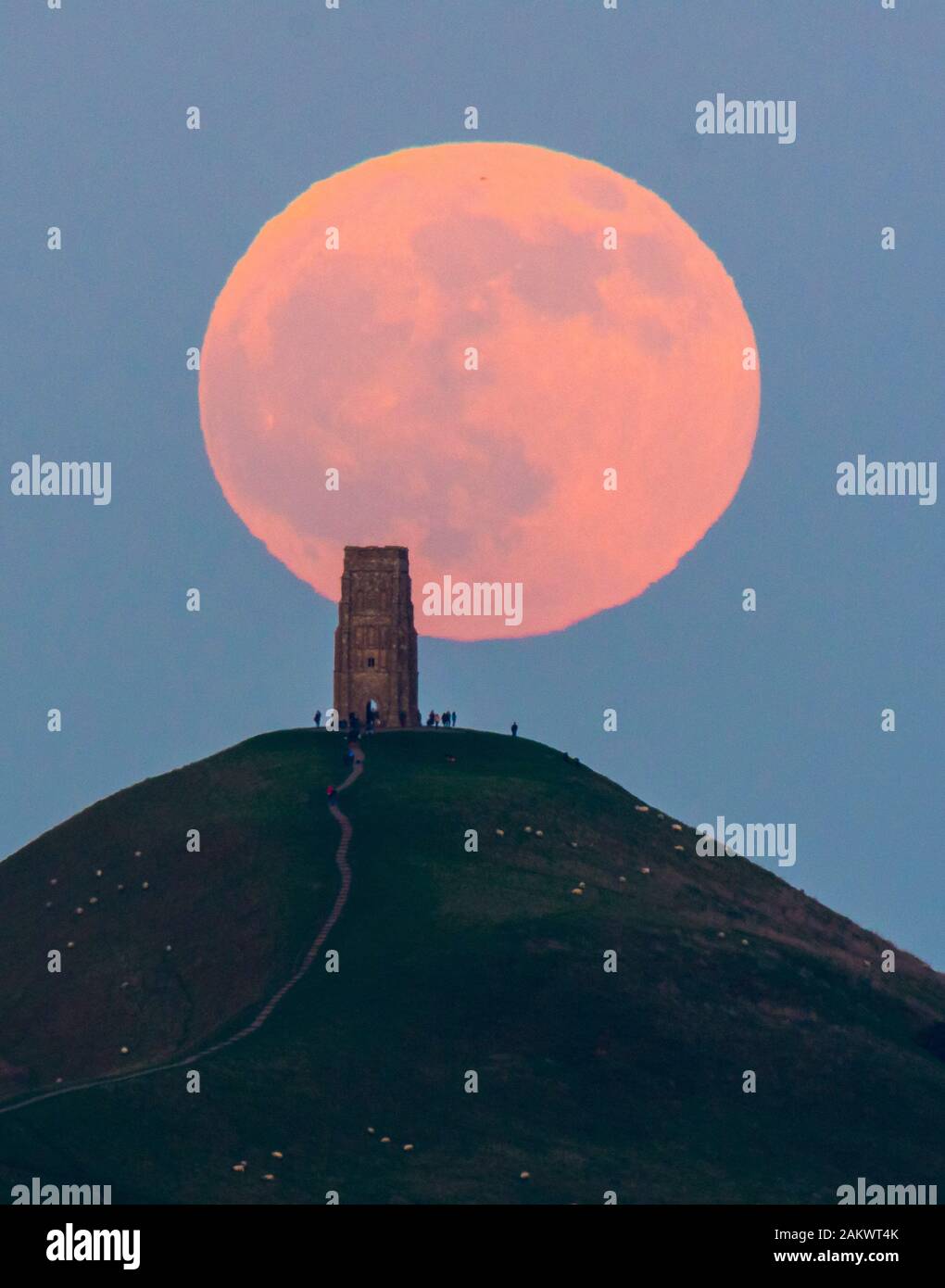 Glastonbury, Somerset, Royaume-Uni. 10 janvier 2020. Météo britannique. Le loup pleine lune se lève derrière Tor de Glastonbury dans le Somerset sur une bonne soirée d'hiver où les visiteurs se sont réunis pour regarder le lever de la lune au coucher du soleil. Crédit photo : Graham Hunt/Alamy Live News Banque D'Images
