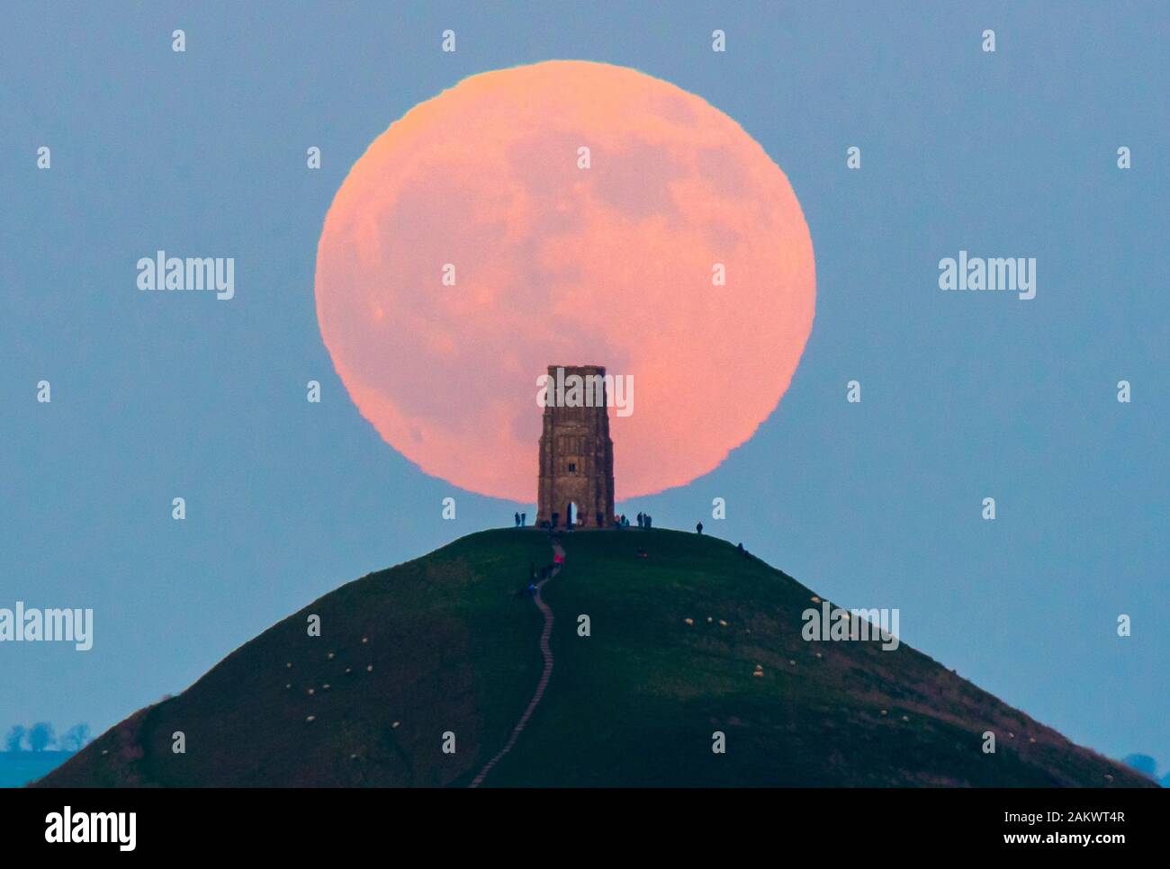 Glastonbury, Somerset, Royaume-Uni. 10 janvier 2020. Météo britannique. Le loup pleine lune se lève derrière Tor de Glastonbury dans le Somerset sur une bonne soirée d'hiver où les visiteurs se sont réunis pour regarder le lever de la lune au coucher du soleil. Crédit photo : Graham Hunt/Alamy Live News Banque D'Images