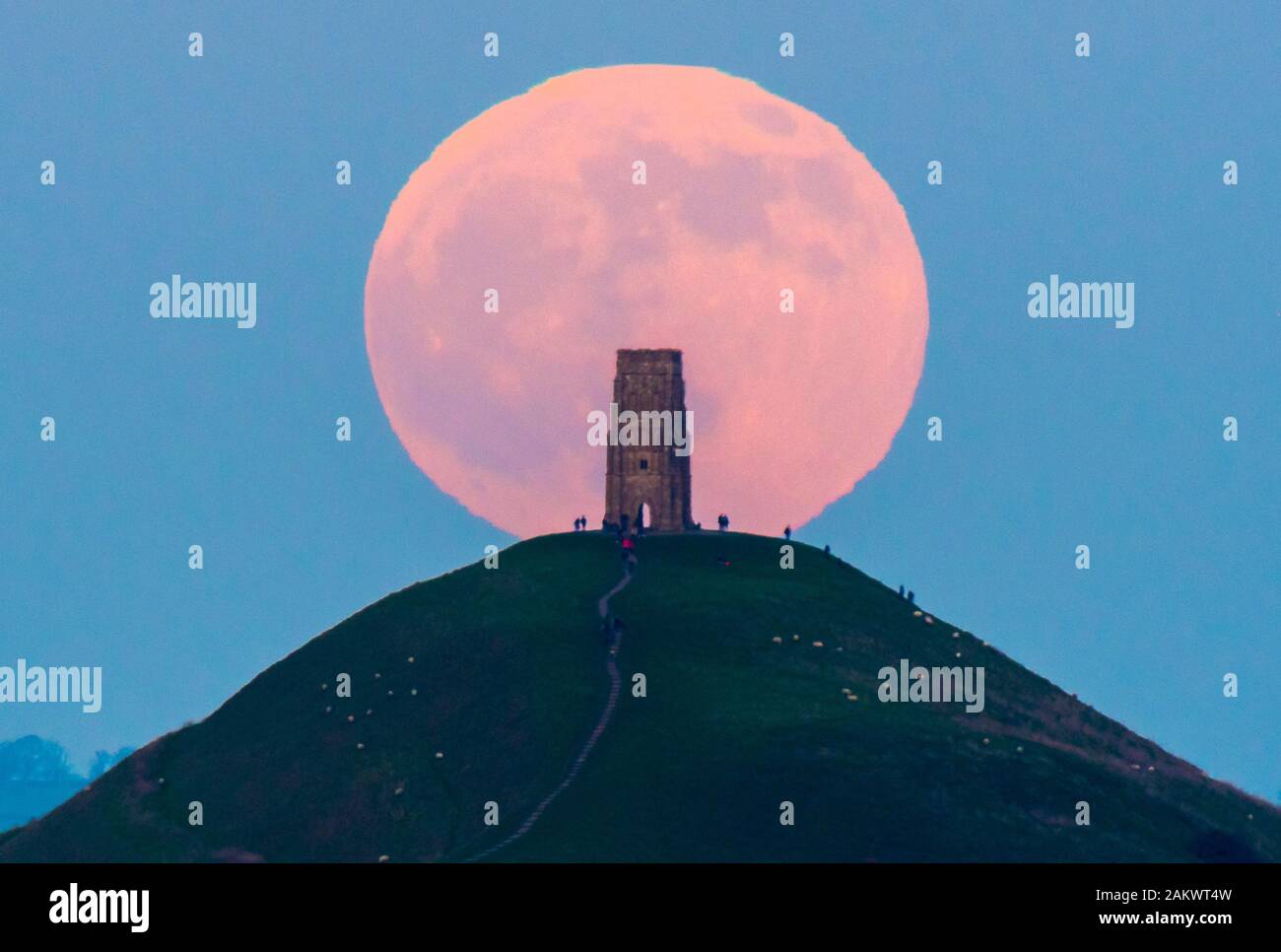 Glastonbury, Somerset, Royaume-Uni. 10 janvier 2020. Météo britannique. Le loup pleine lune se lève derrière Tor de Glastonbury dans le Somerset sur une bonne soirée d'hiver où les visiteurs se sont réunis pour regarder le lever de la lune au coucher du soleil. Crédit photo : Graham Hunt/Alamy Live News Banque D'Images