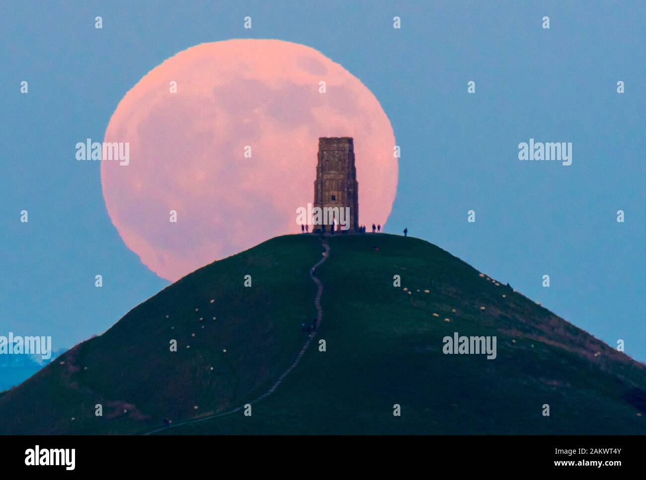 Glastonbury, Somerset, Royaume-Uni. 10 janvier 2020. Météo britannique. Le loup pleine lune se lève derrière Tor de Glastonbury dans le Somerset sur une bonne soirée d'hiver où les visiteurs se sont réunis pour regarder le lever de la lune au coucher du soleil. Crédit photo : Graham Hunt/Alamy Live News Banque D'Images