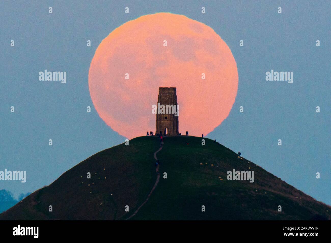 Glastonbury, Somerset, Royaume-Uni. 10 janvier 2020. Météo britannique. Le loup pleine lune se lève derrière Tor de Glastonbury dans le Somerset sur une bonne soirée d'hiver où les visiteurs se sont réunis pour regarder le lever de la lune au coucher du soleil. Crédit photo : Graham Hunt/Alamy Live News Banque D'Images