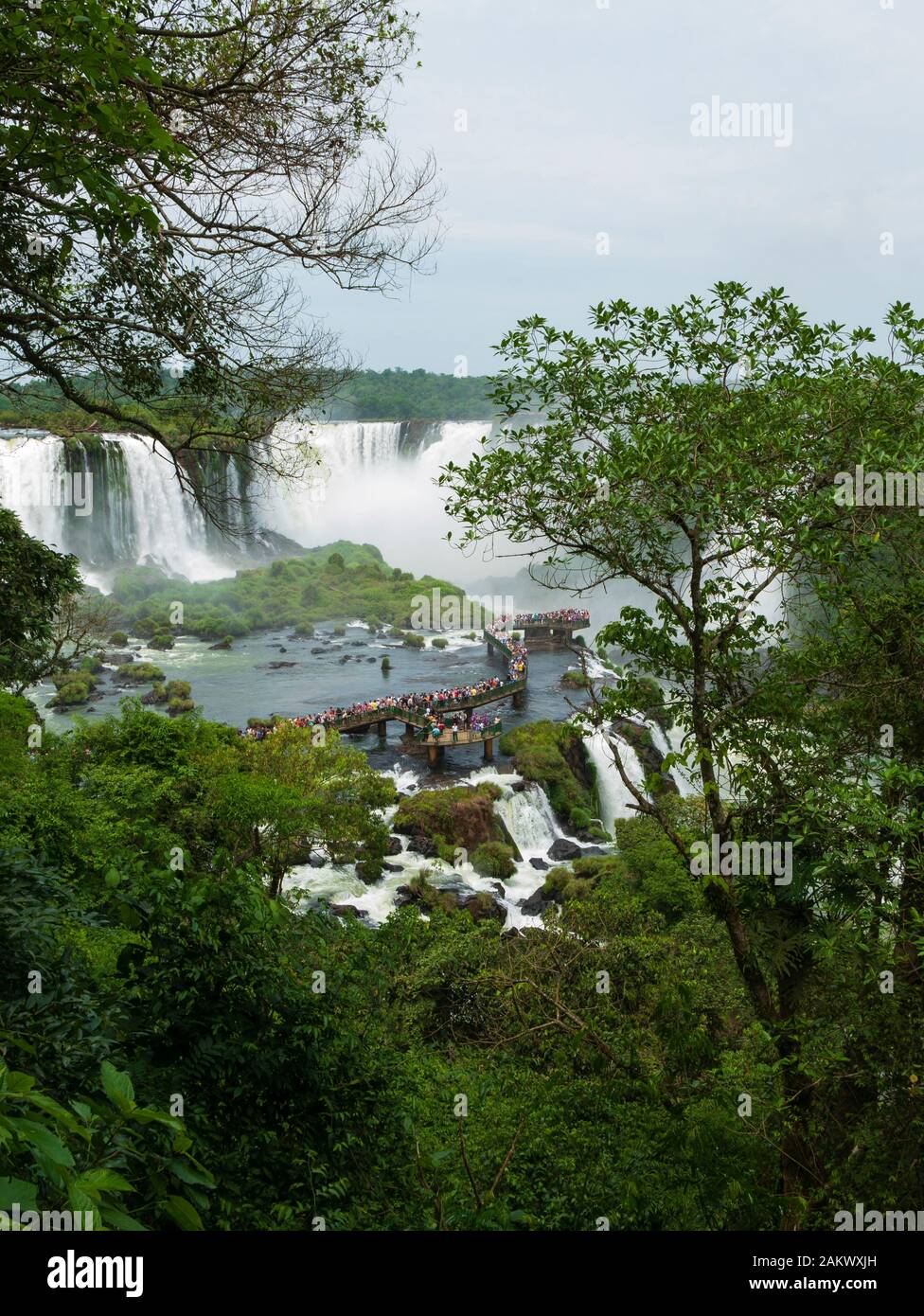 Vue vers l'Iguacu Falls (Chutes d'Iguaçu) en Argentine comme vu depuis le côté Brésilien des chutes. Le Parc National des chutes d'Iguacu, Brésil. Banque D'Images