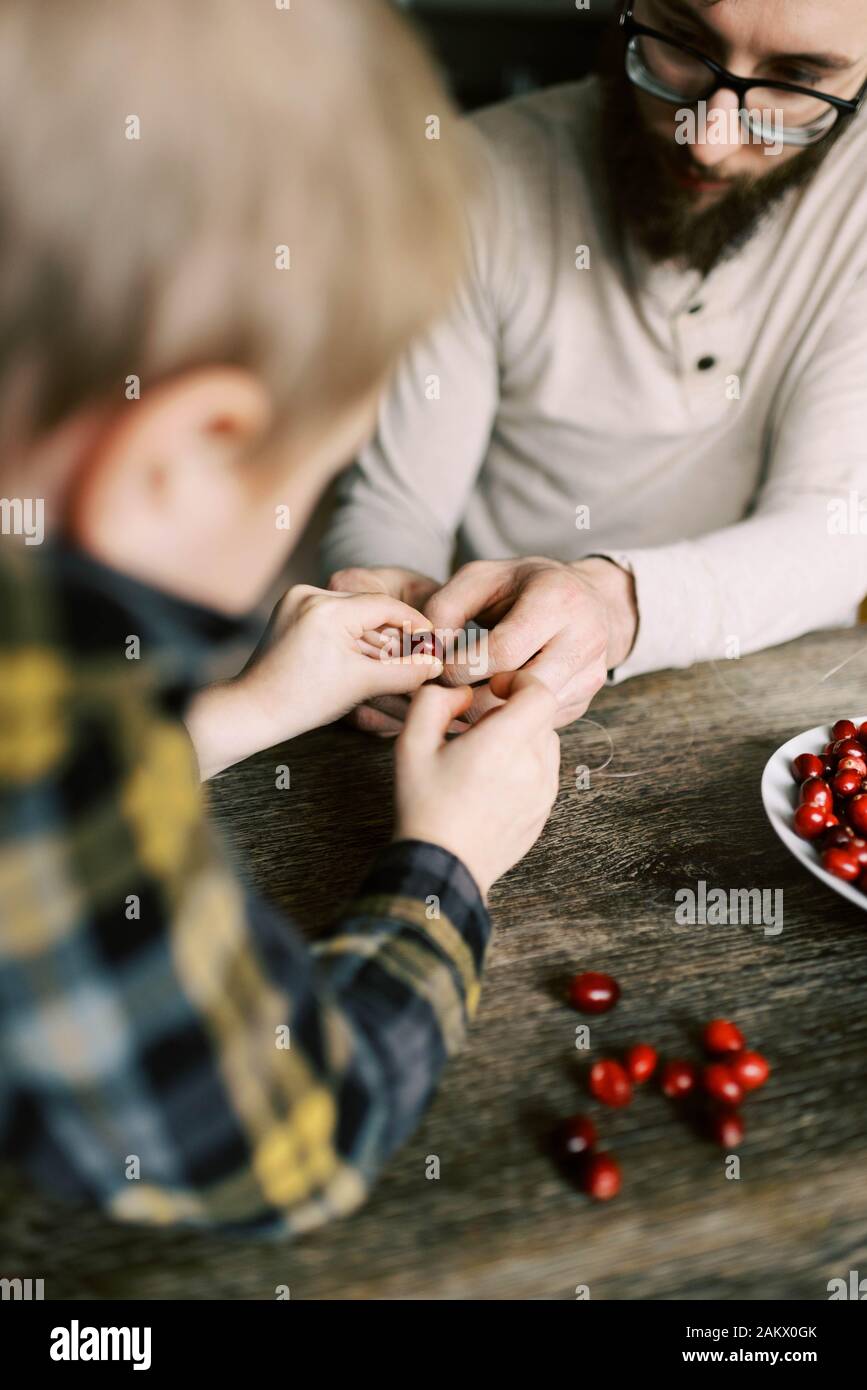 Père et fils qui font des guirlandes d'orange et de canneberges pour Noël. Banque D'Images