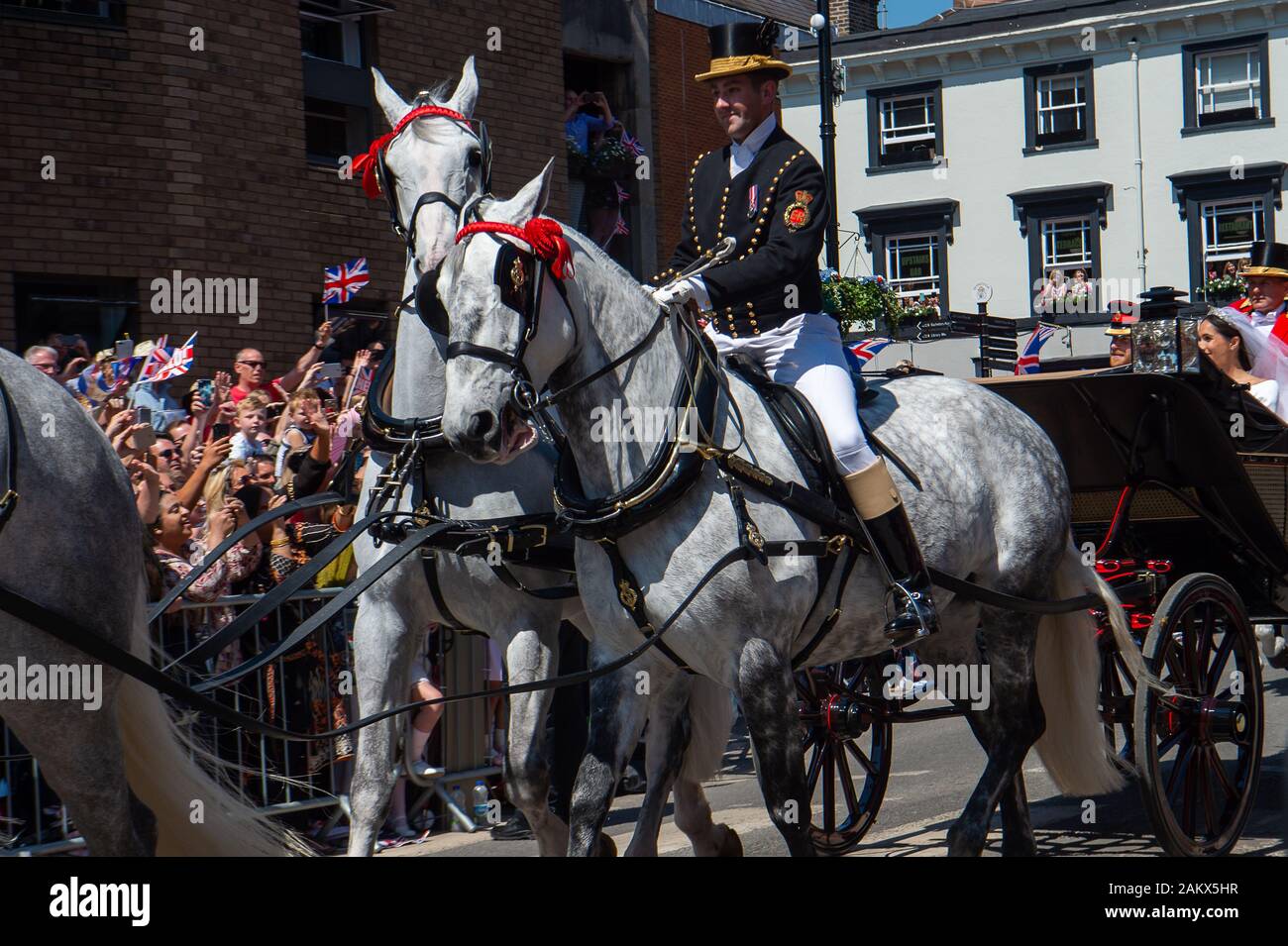 Royal Wedding Day, Windsor, Berkshire, Royaume-Uni. 19 mai, 2018. Windsor Greys en avant du cortège royal à Windsor le jour de la Mariage du Prince Harry et Meghan Markle. Credit : Maureen McLean/Alamy Banque D'Images
