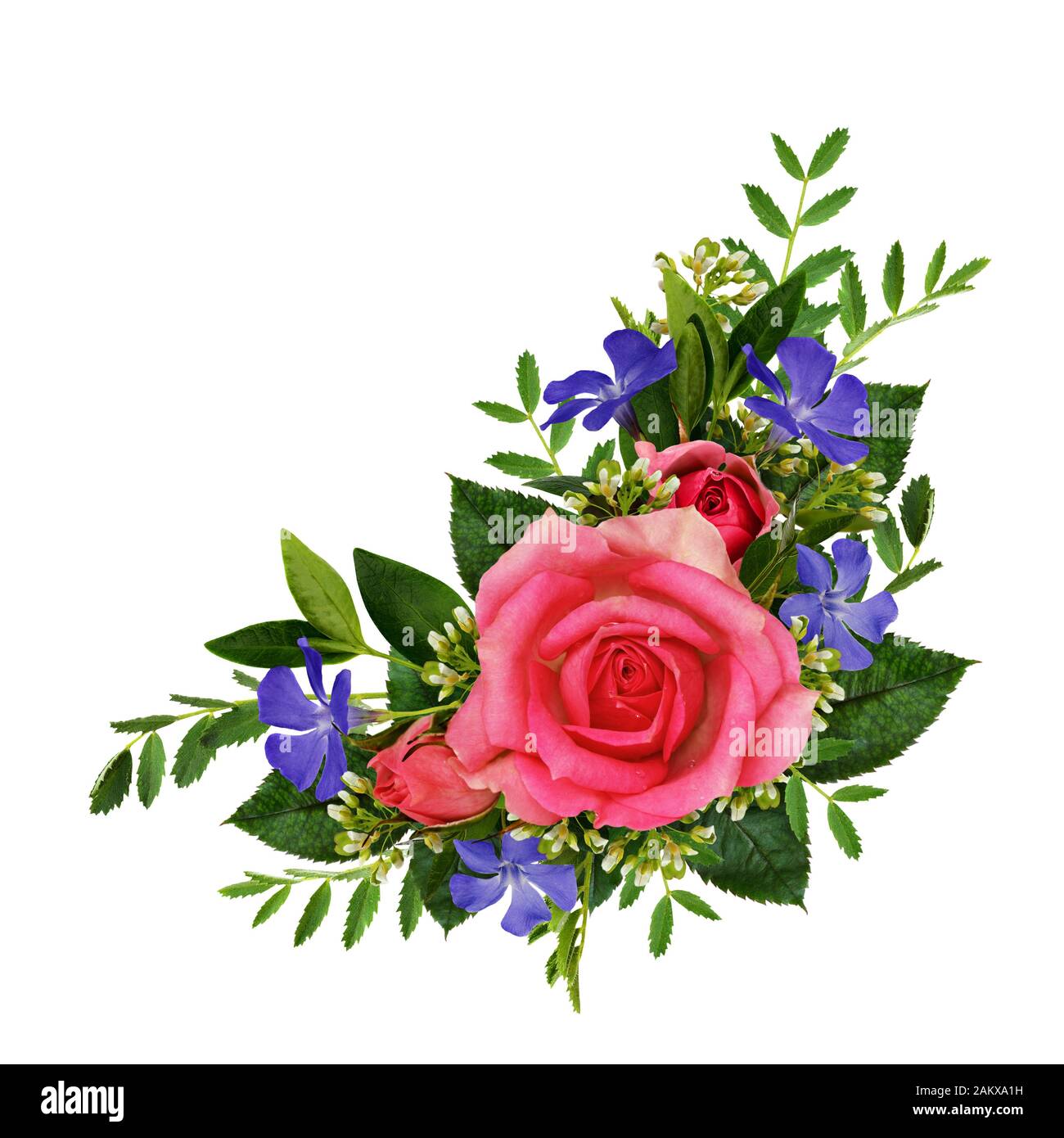 Bouquet de roses et de fleurs sauvages isolé sur blanc Banque D'Images