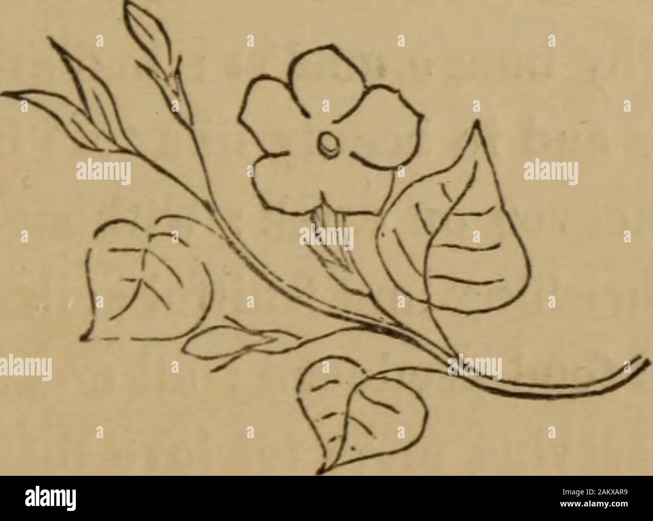 poesie notre rencontre