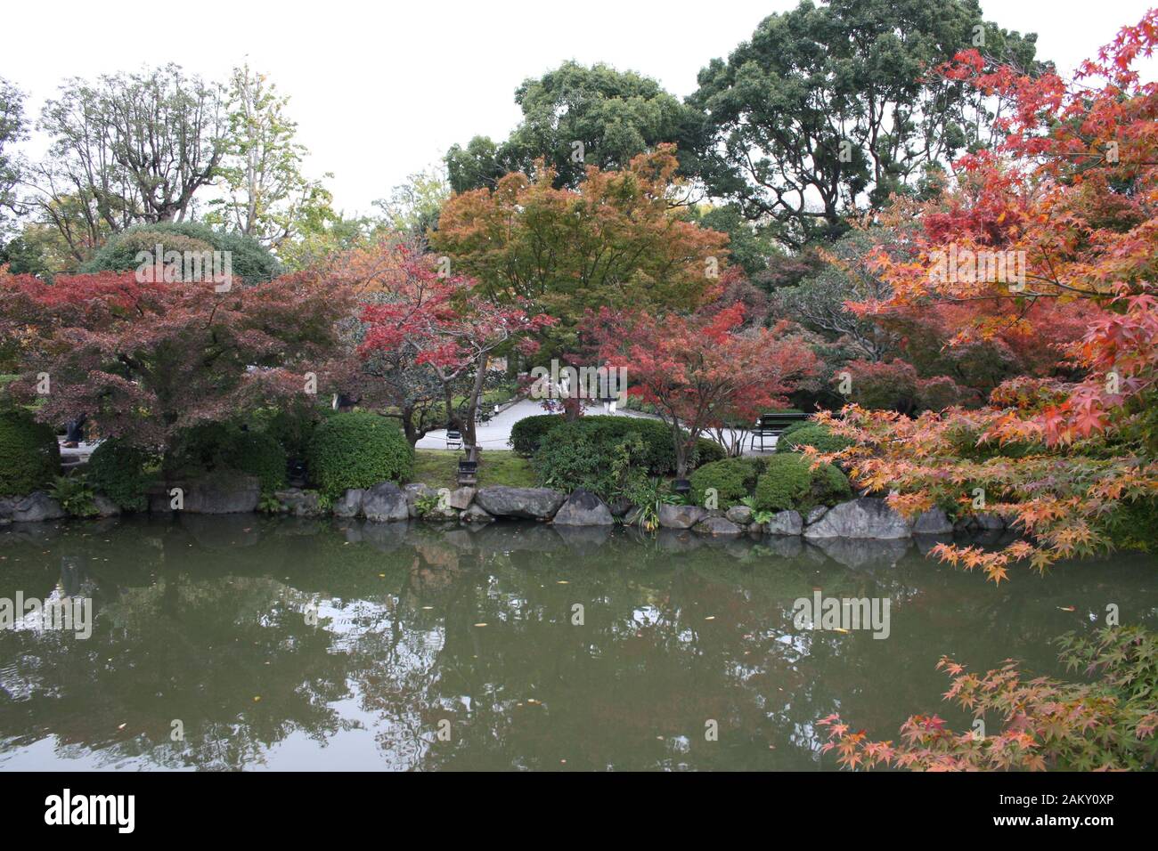 Étang tranquille dans le domaine du temple Toji, Kyoto, Japon Banque D'Images