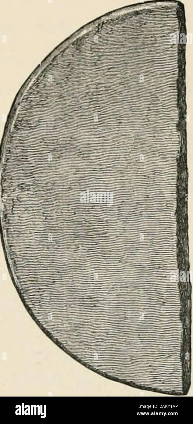 Lac écossais antique-logements ou crannogs : avec un chapitre supplémentaire sur les vestiges du lac-logements en Angleterre . ed disques de pierre mighthave été utilisés comme des miroirs, voir les remarques de M. Joseph Anderson, procéder.Soc. Antiq. Scot. vol. x. p. 717. L'EXCAVATION D'UN LOCHSPOUTS AU CRANNOG. 173 les deux surfaces, mais n'a pas d'aspect brillant. Il mesure4^ pouces de diamètre, et possède une épaisseur uniforme d'aquarter de pouce (Fig. 1G6). L'autre, qui semble avoir été une completecircle, a été divisée en plusieurs parties, dont deux ont été récupérés. Ces derniers n'ont pas fitinto les uns les autres, mais ils sont sosimi Banque D'Images