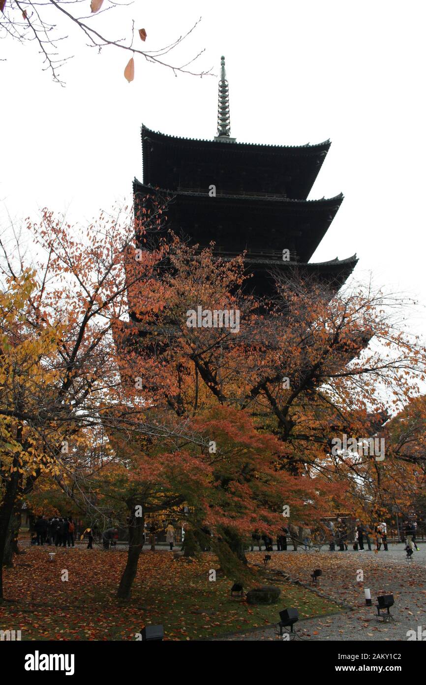 Pagode Du Temple Toji, Kyoto, Japon Banque D'Images