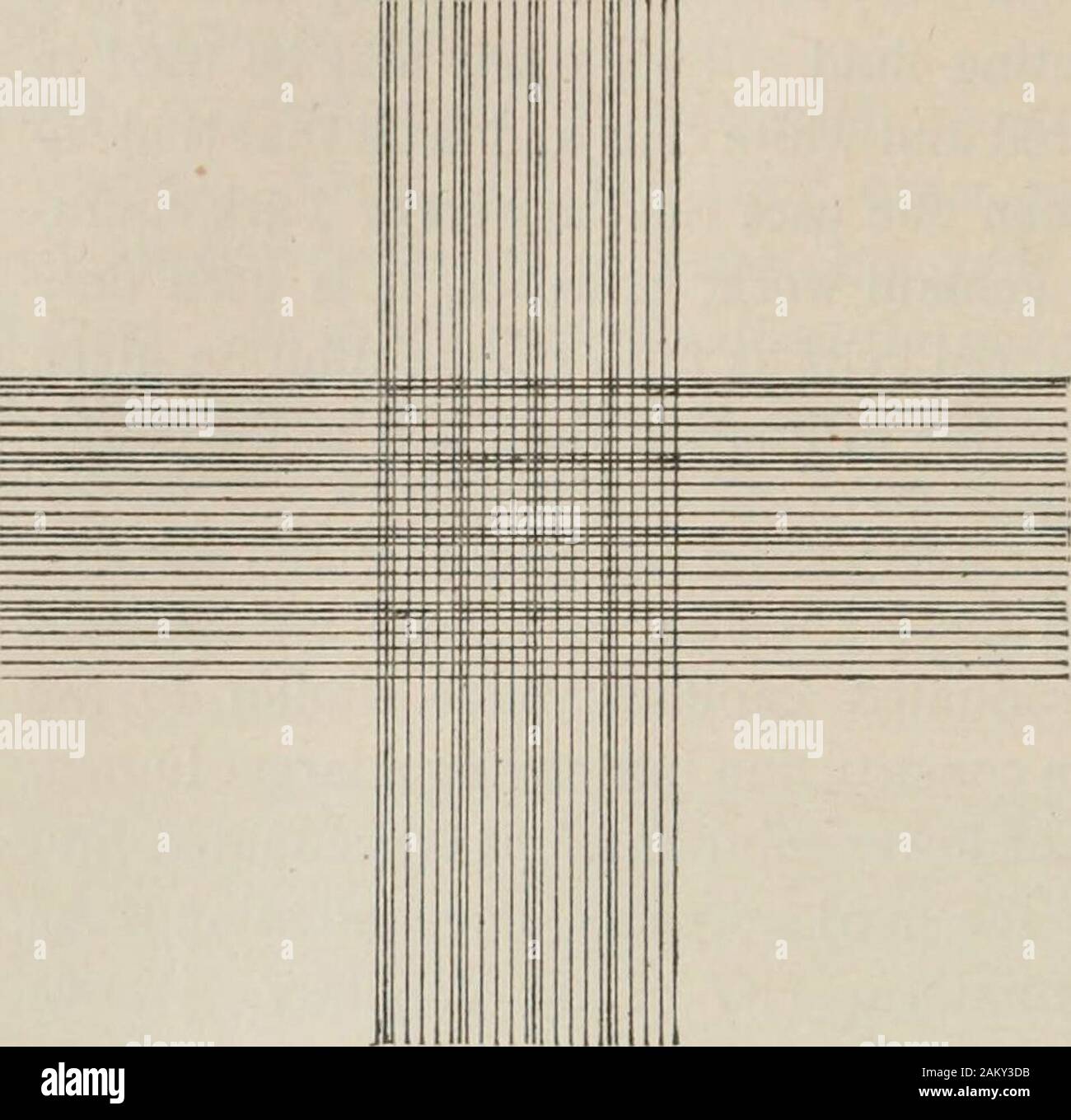 Les méthodes de diagnostic, chimiques, bactériologiques et microscopique, un texte-livre pour les étudiants et les praticiens . ce qui est exactement i mm. Par conséquent, nous avons une zone de j'squaremillimeter divisé en quatre cents petits carrés égaux. Par eachfifth rangée de carrés est jugé d'une ligne supplémentaire, ce qui n'est pas une limite mais ismerely d'aide dans le maintien de la position des unités dans la zone de rendu. Il est indiqué, pas 1 mon collègue, le Dr C. C. Croy, a conçu une très excellente et utile pipet joignez-ment (voir au-dessus de la coupe), ce qui empêche la fuite du contenu pendant le transport. Thisconsists d'un solide élastique avec deux d Banque D'Images