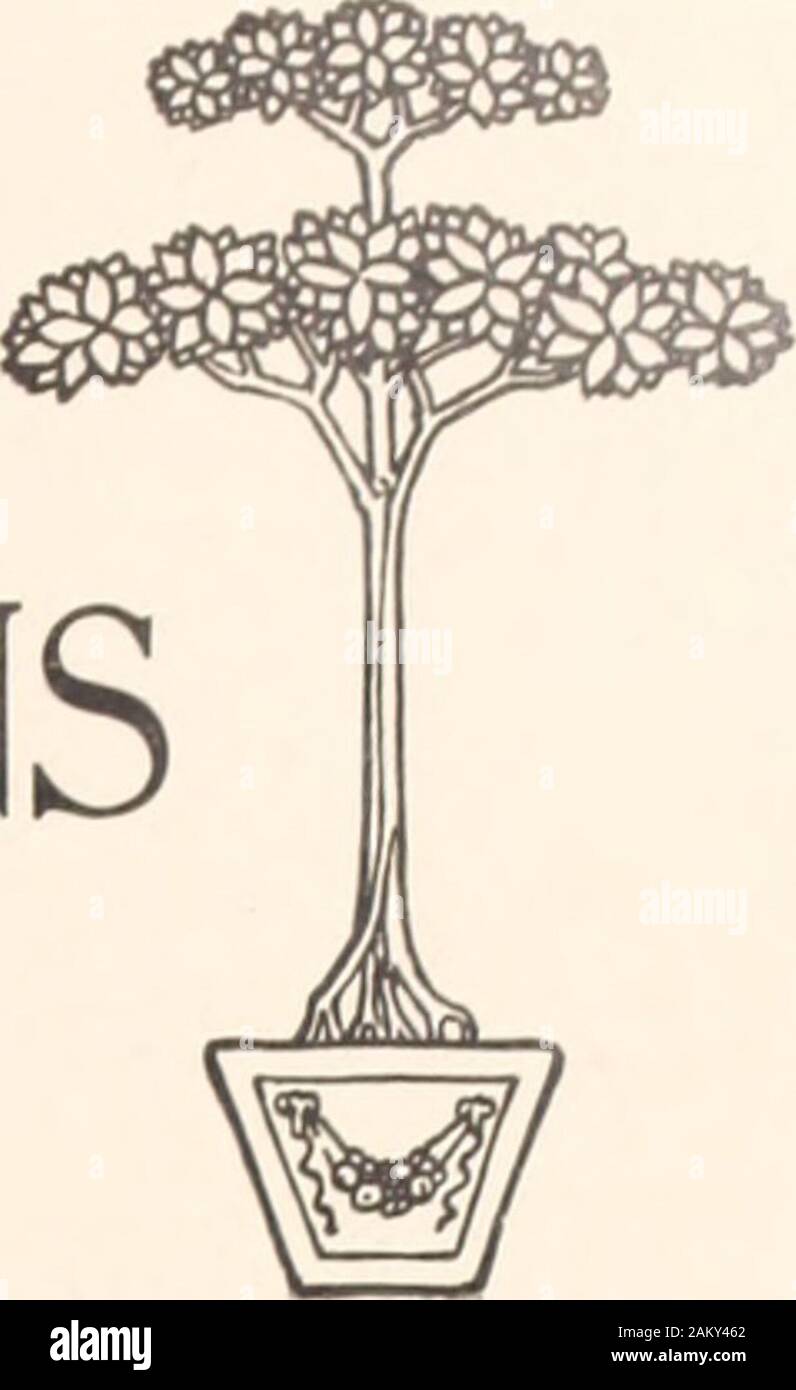 American maisons et jardins . Prix, 25 cents. 3,00 $ par année LIBRARYNEW YORKBOTANICAL. Matières pour juillet, 1906 PAGE UNE Colonnade ou la succession de L. S. Table, Esq., Danvers, Massachusetts io Commentaire Mensuel 12 foyers américains notables-Sunnyside, la chambre de diacre Harleston, Esq., Tuxedo Park, New York par Barr Fence 13 parcs nationaux - grandes et petites maisons bon marché quelques 18 Par Paul Thurston 19 Comment une maison d'habitations bifamiliales a été transformée en une habitation privée. Par Francis Durando Nichols 23 Mon jardin sans fleurs par Carine Cadby 29 Aide à la construction de maisons : La valeur de l'étude architecturale de l'architecte 32 Banque D'Images