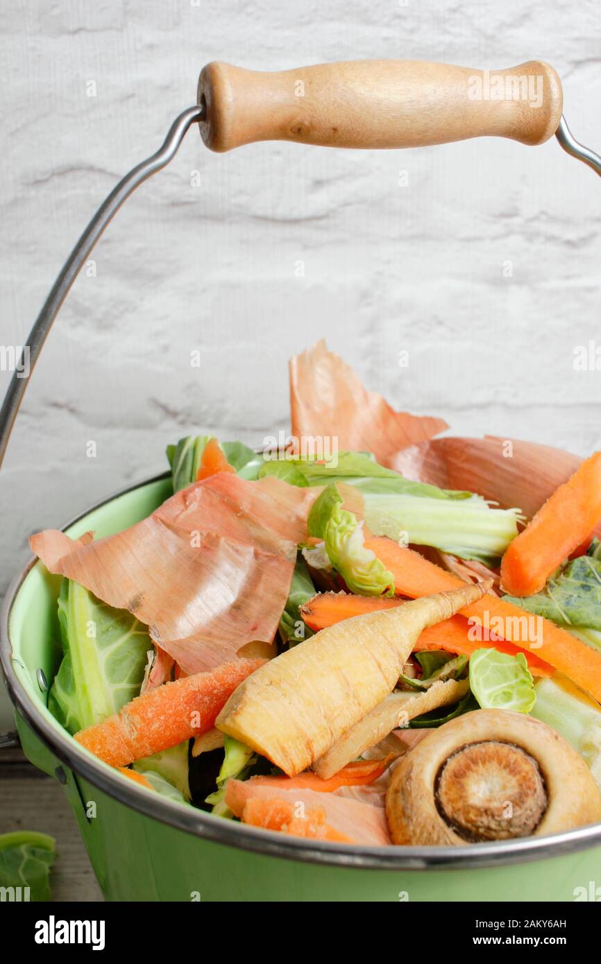 Compostage. Déchets alimentaires de cuisine recueillis dans un seau pour le compostage à domicile. ROYAUME-UNI Banque D'Images