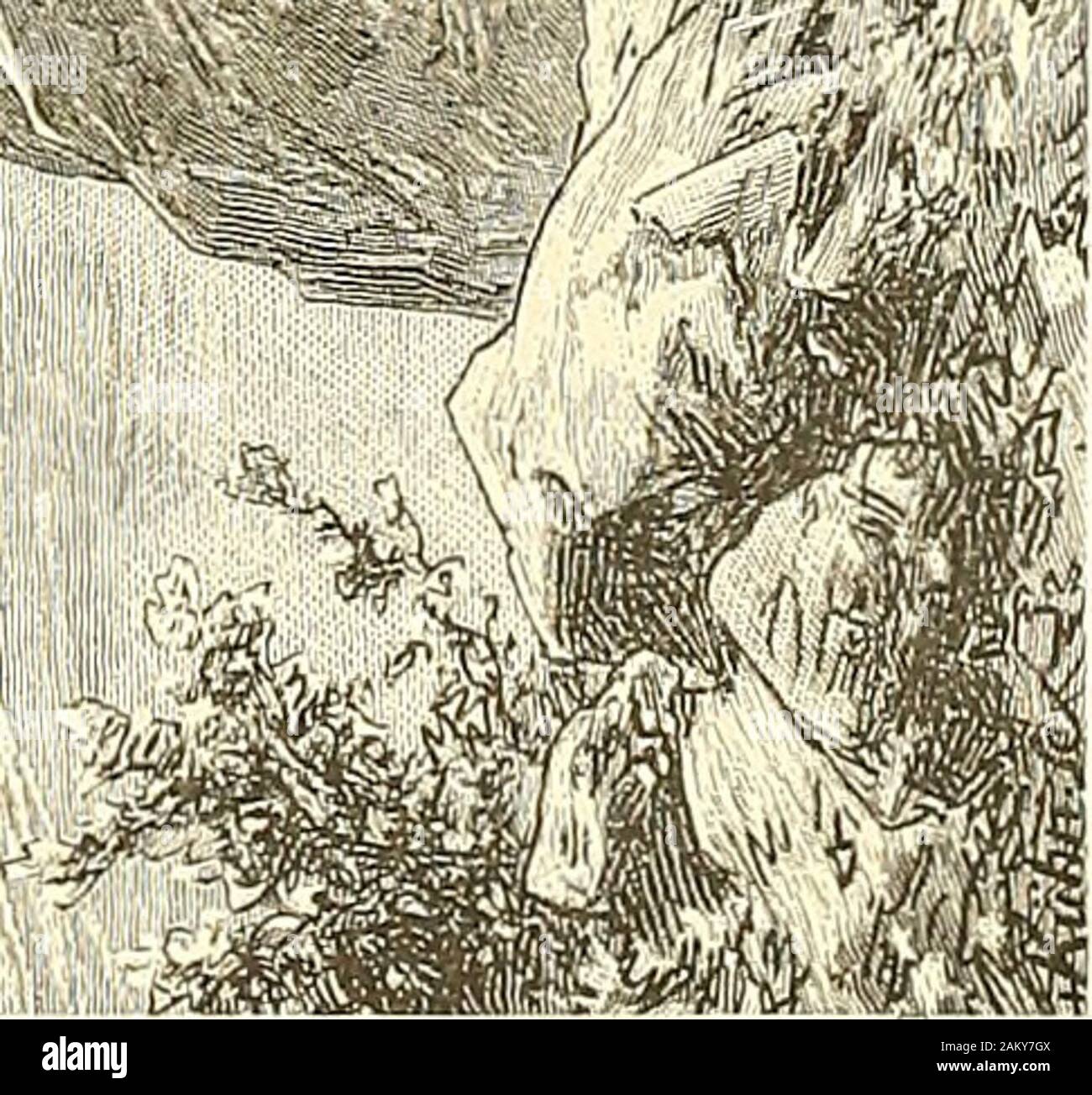 Az Osztrák magyar-képben irásban monarchie és . fi*. 104 atsel ?tt vélték, az ?skori, hanem une paleozoi tartoznak k ?zetek közé. Máremlítettük, hogy un déli-Grauwacke öv irányában csekélyebb szabályosság une éjszakiéban,mint az. Un zavarodásokat oly legnagyobb egy k ?zet-elem idéziel éjszaki ?, mely az Alpesekre egészen nézve idegen ; ez egy eruptív porfir mely,k ?szilárd zeteivel tufáival Tirolban és déli messze terjedve táján Bozen, un tájkép jellegére,, valamint az egész hegyszerkezetre uralkodó hatássalvan est. Un környékét Marburg ?l Bixen és Meran felé (hol un kiterjedésénekéjszaki porfir vége van), un kris Banque D'Images