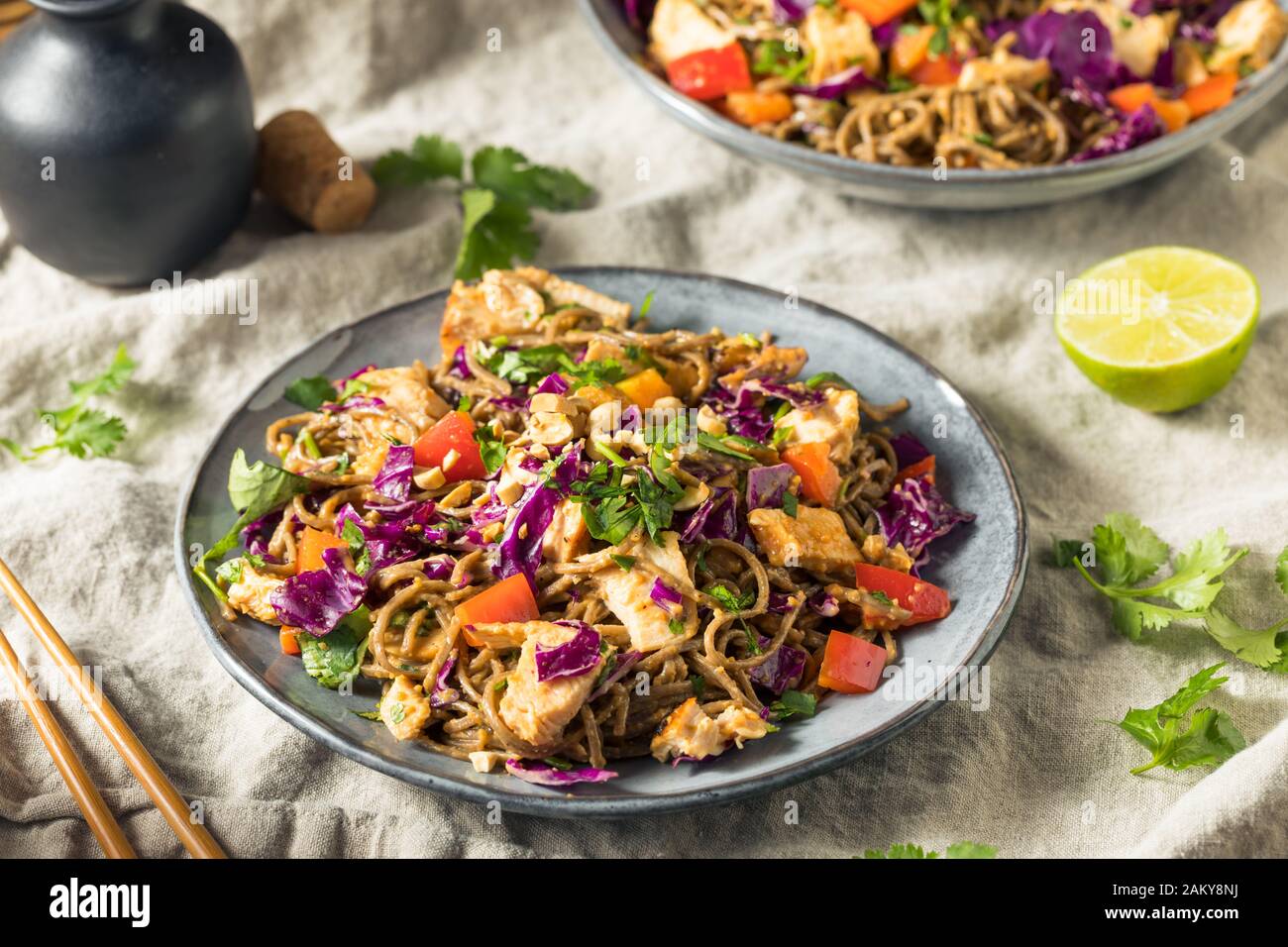 Poulet épicé fait maison salade de nouilles soba, sauce aux arachides Banque D'Images