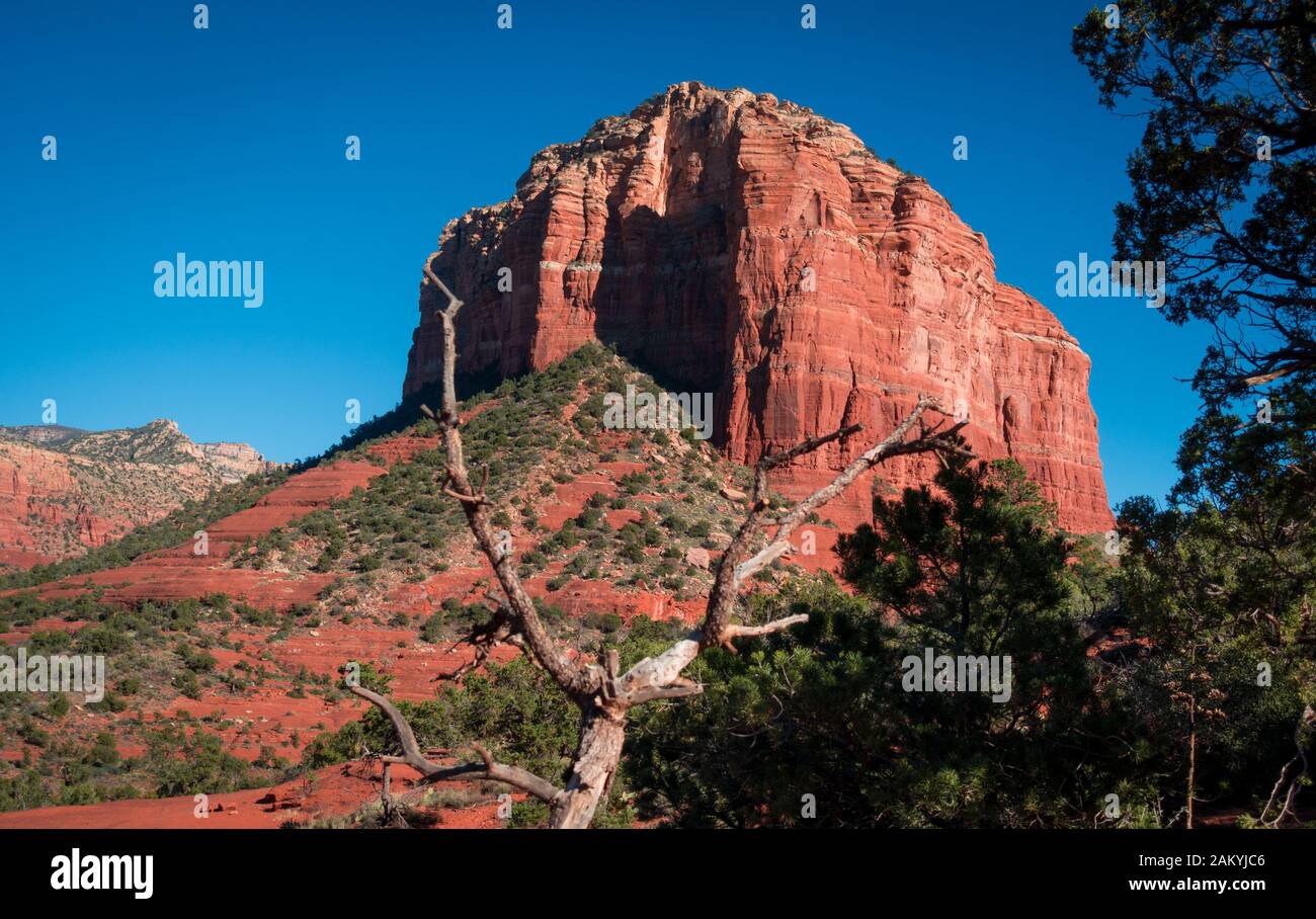 Paysage tourné de rouge paisible Bell Rock Butte derrière un arbre mort à Sedona Arizona. Pas de gens. Lumière du jour de l'après-midi avec contraste de grès rouge et de bl Banque D'Images