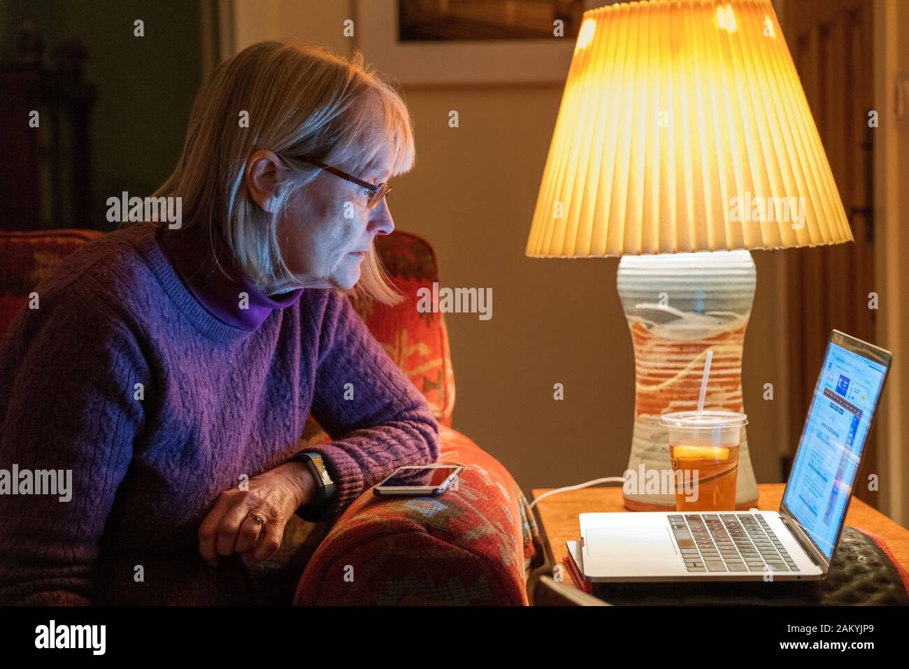 Femme lisant à la maison sur un ordinateur portable Banque D'Images