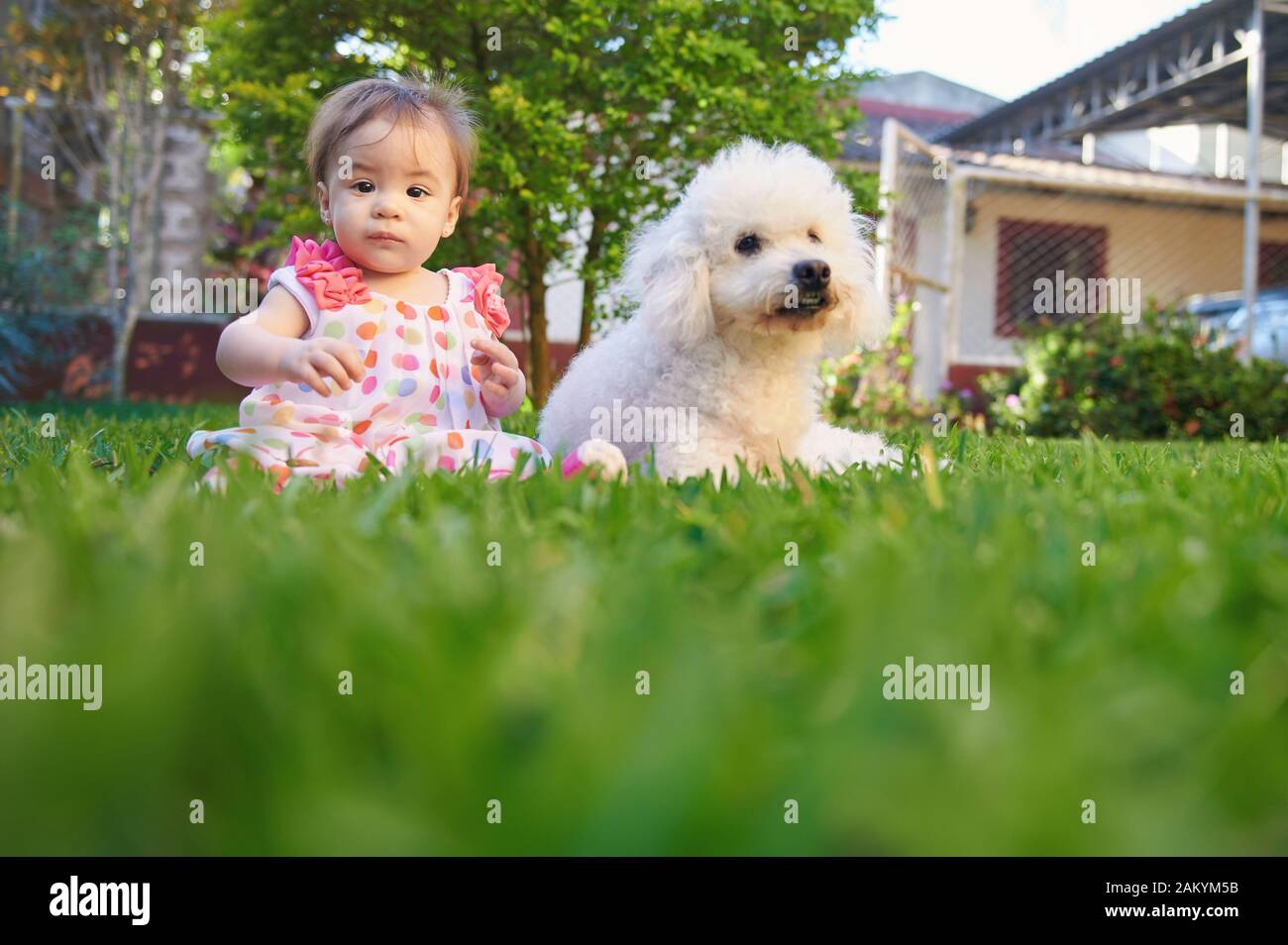 Baby Girl with white poodle dog sitting on Green grass meadow Banque D'Images