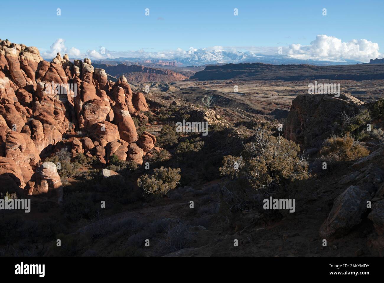 La Sal Mountains, La Sal Range, Arches National Park, Moab, Utah, États-Unis Banque D'Images