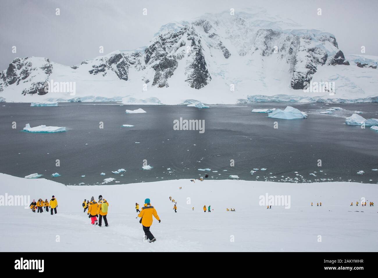 Touristes À Danco Island, Péninsule Antarctique, Antarctique Banque D'Images