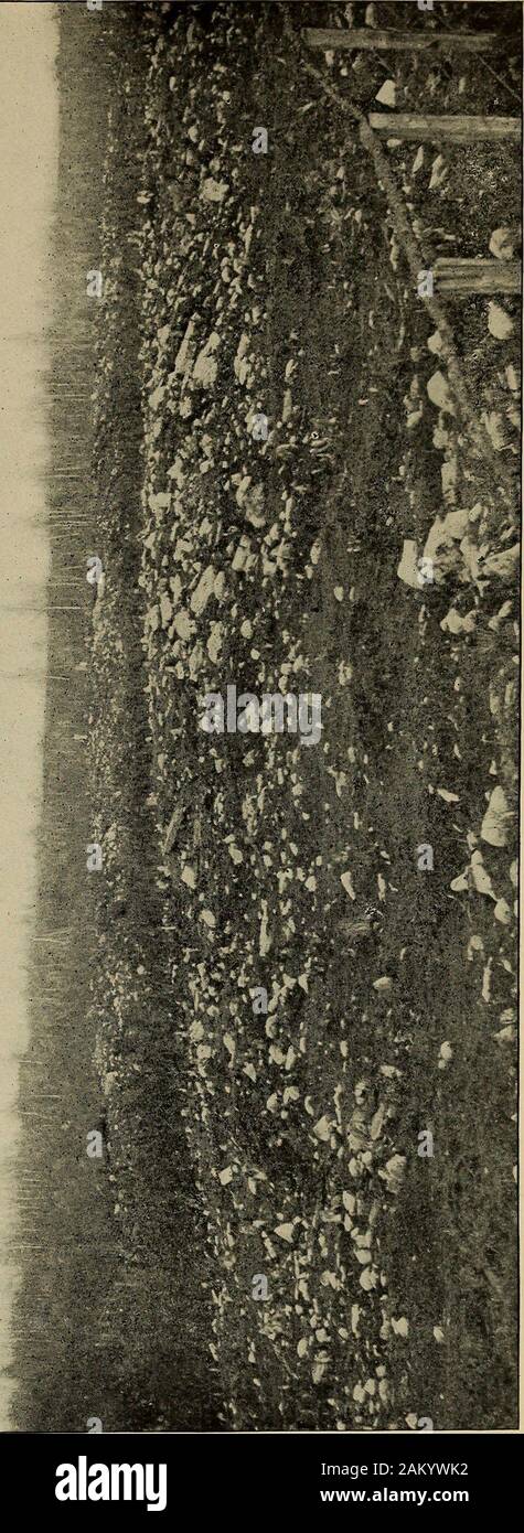 Bulletin - New York State Museum . ^ la glaciation, encadrement de l'abnormalset a été recouvert par un dépôt argileux graveleux contenant des fragmentsof grès Potsdam, les gneiss et les calcaires. Bulwagga mountain vient à bord du lac avec un bold es-carpment blocklike, et, s'élève entre la région défavorisée ofPort Henry et la zone similaire de Crown Point. Dans ce latterside les stries glaciaires de la vallée, n. 42° e., ont été observés au sud du village sur le versant nord de la colline. Sur la route, fromCrown Point Centre à Foulque d'hill, stries glaciaires peuvent être seenrunning n. 48 e. ^&lt;l fnrthcr au sud de l'EMTE Banque D'Images